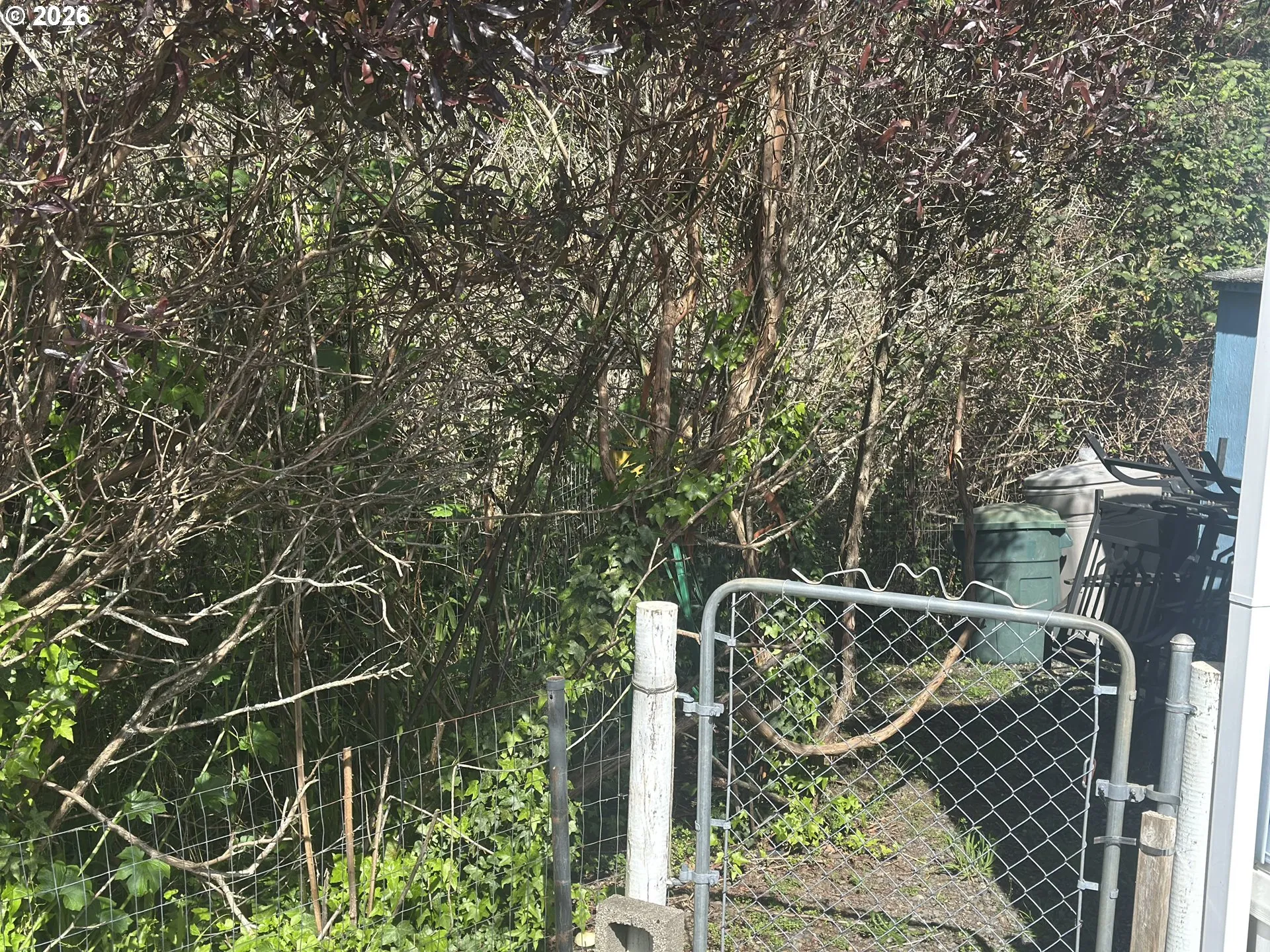 Yard-Fenced