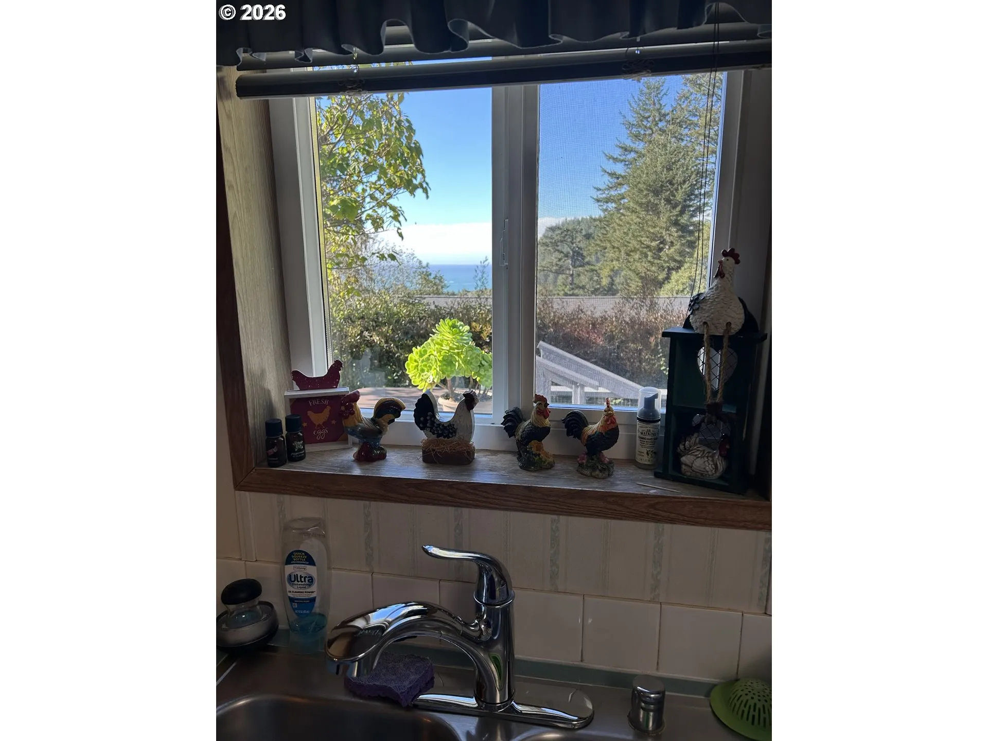 Kitchen-View From