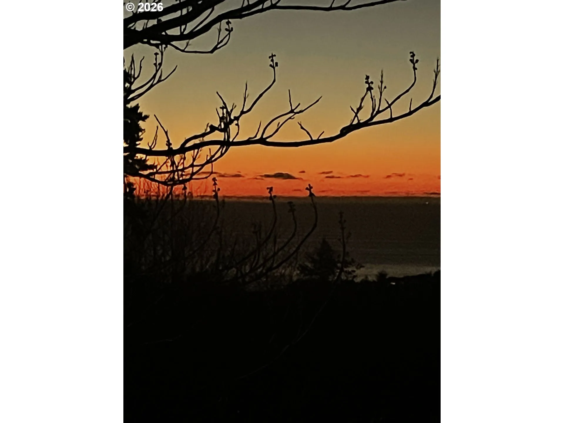 View-Beach/Ocean