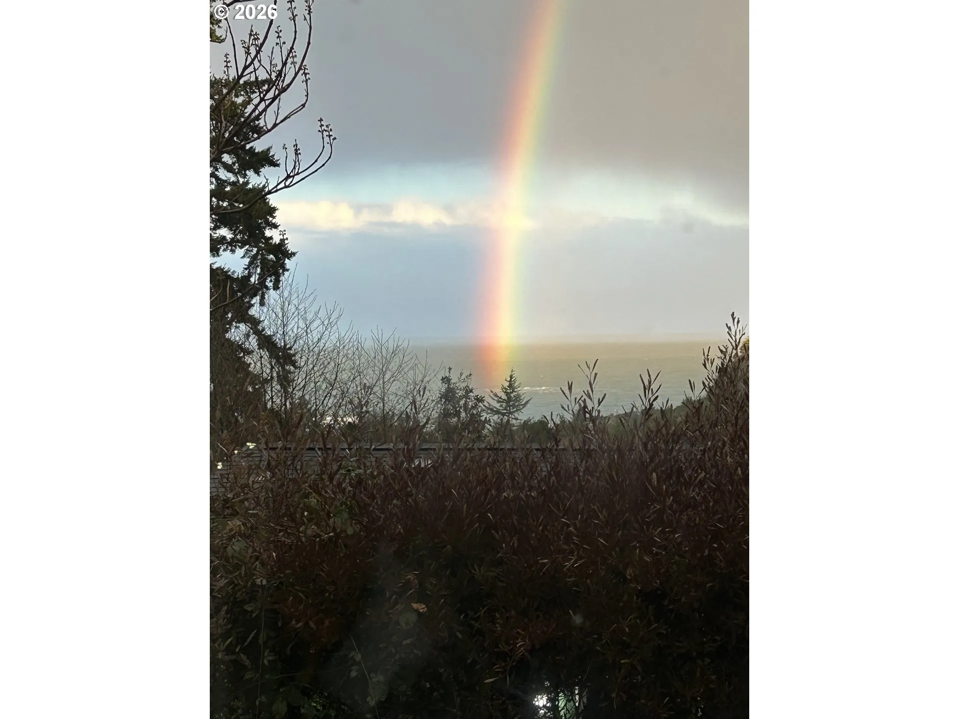 View-Beach/Ocean