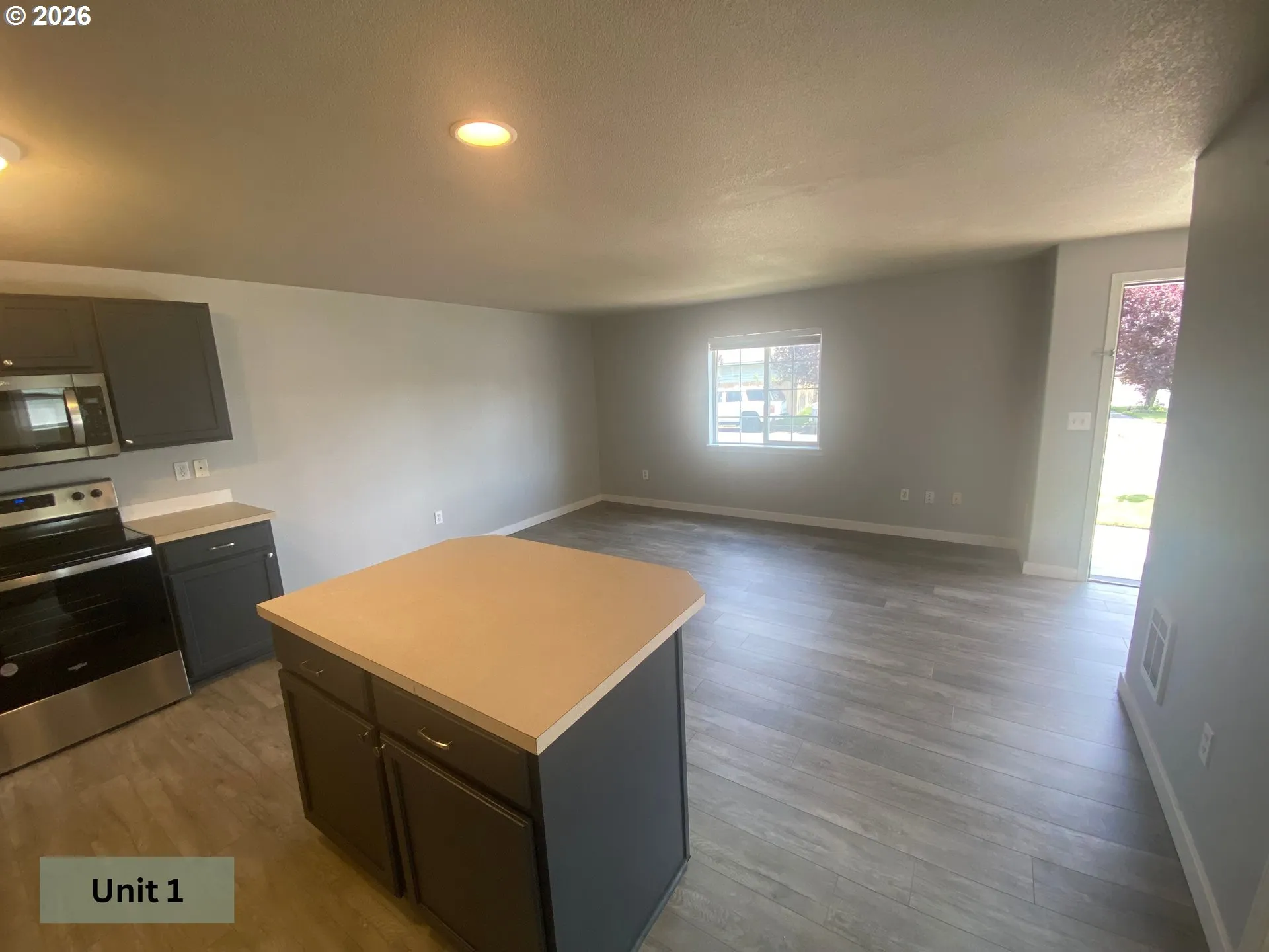 Kitchen/Living Room