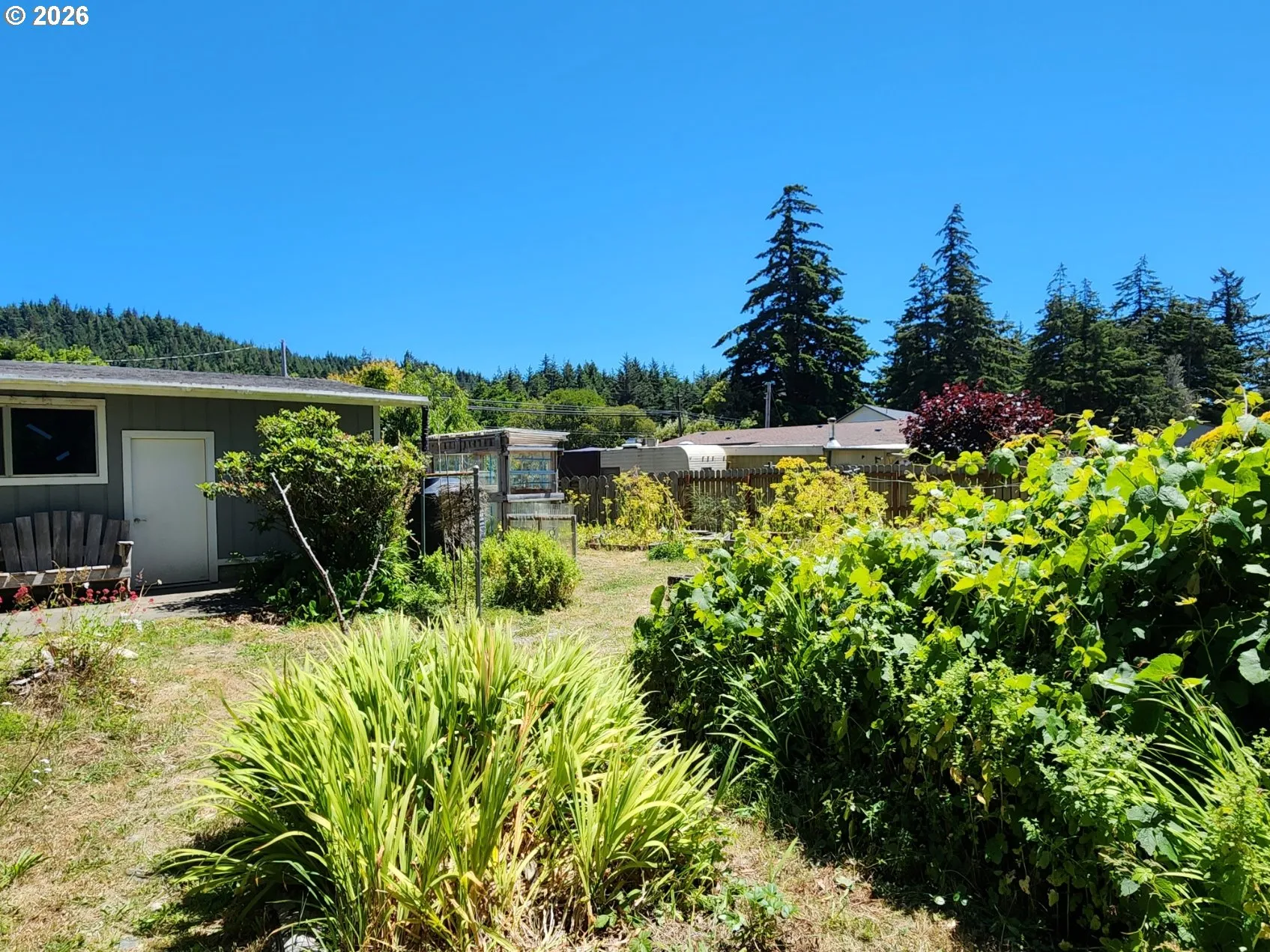 Backyard