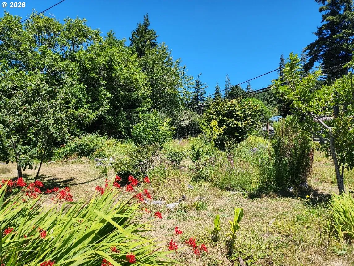 Front Yard-Fenced