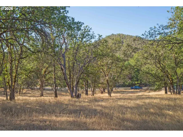 Pasture