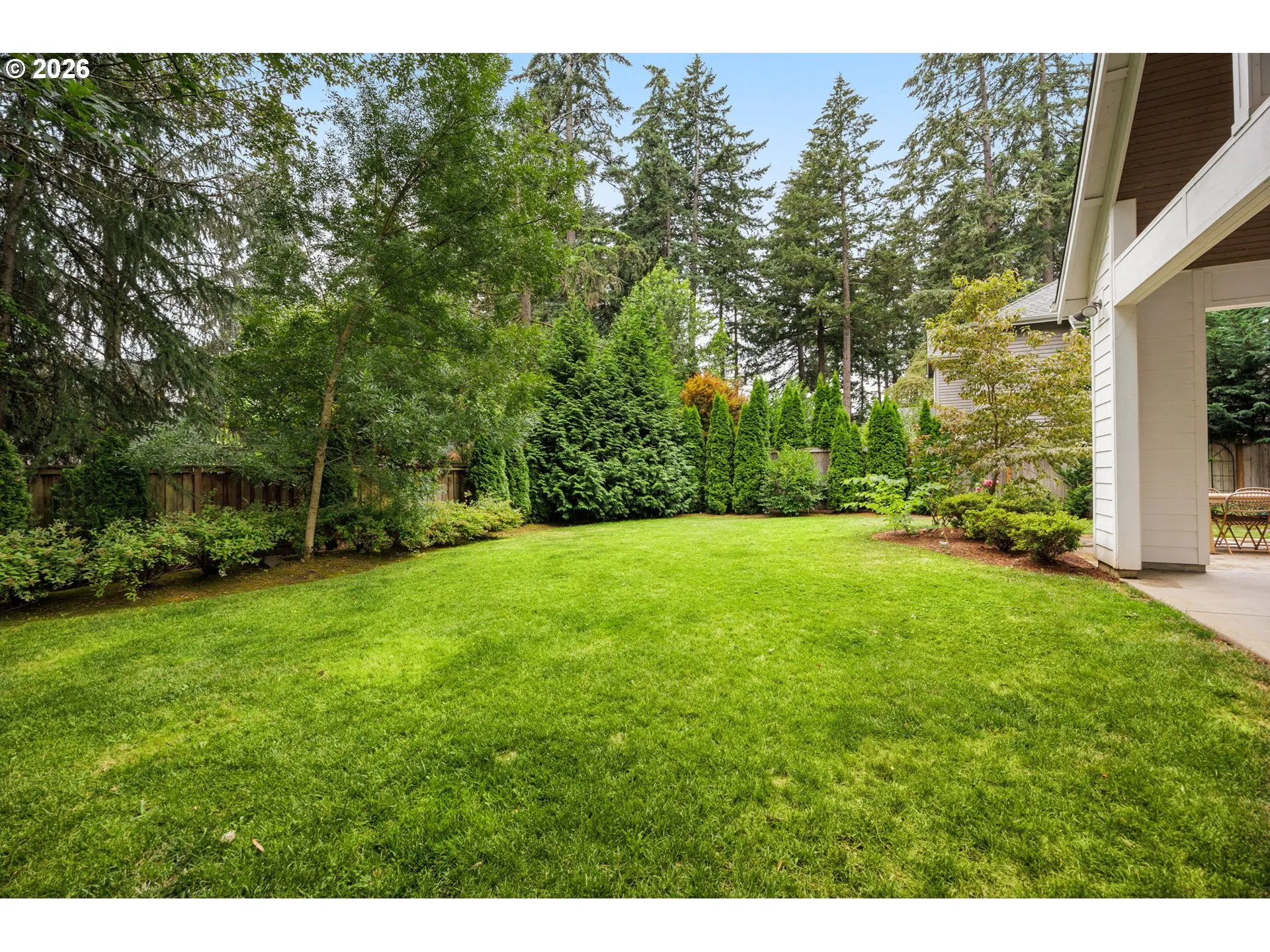 Backyard