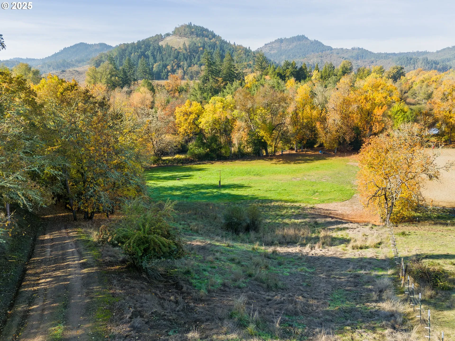 Pasture