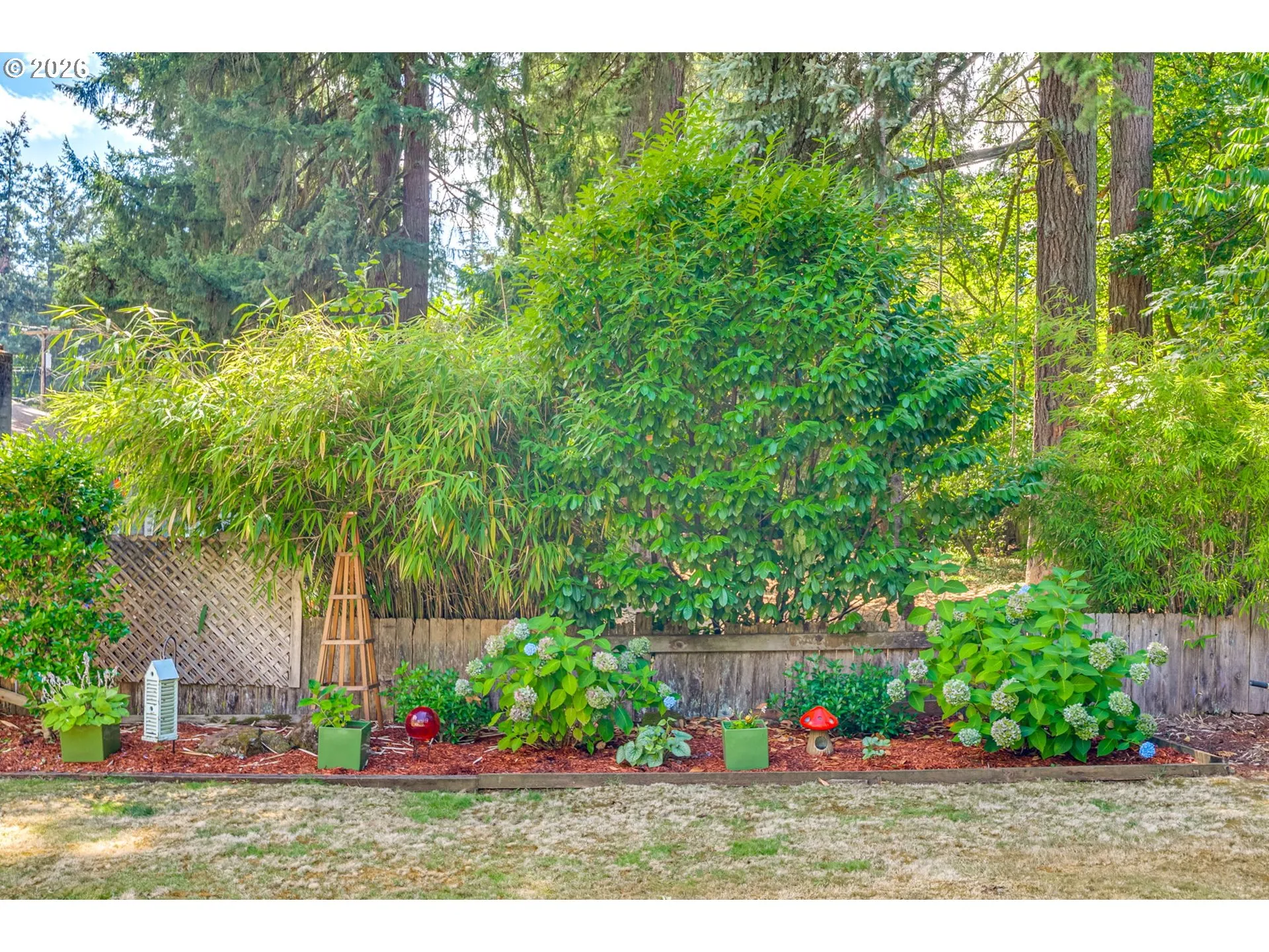 Backyard-View From