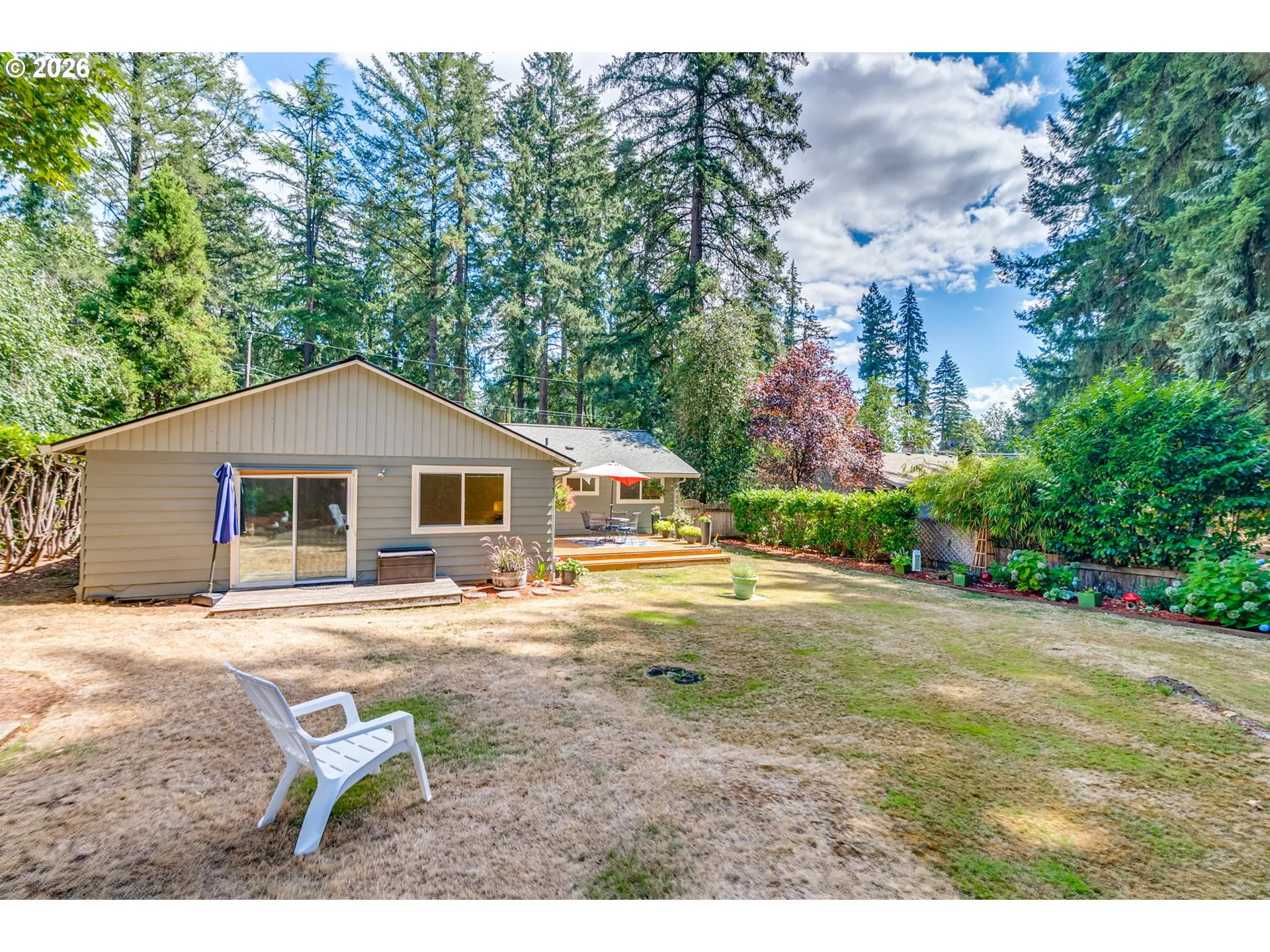 Backyard-View From