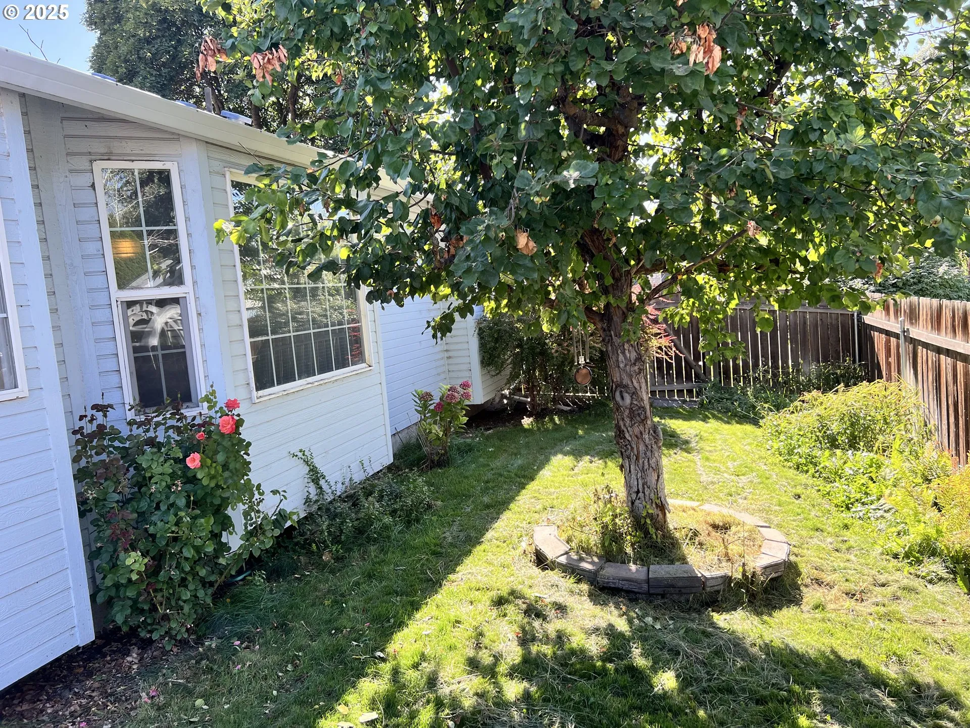 Backyard-Fenced