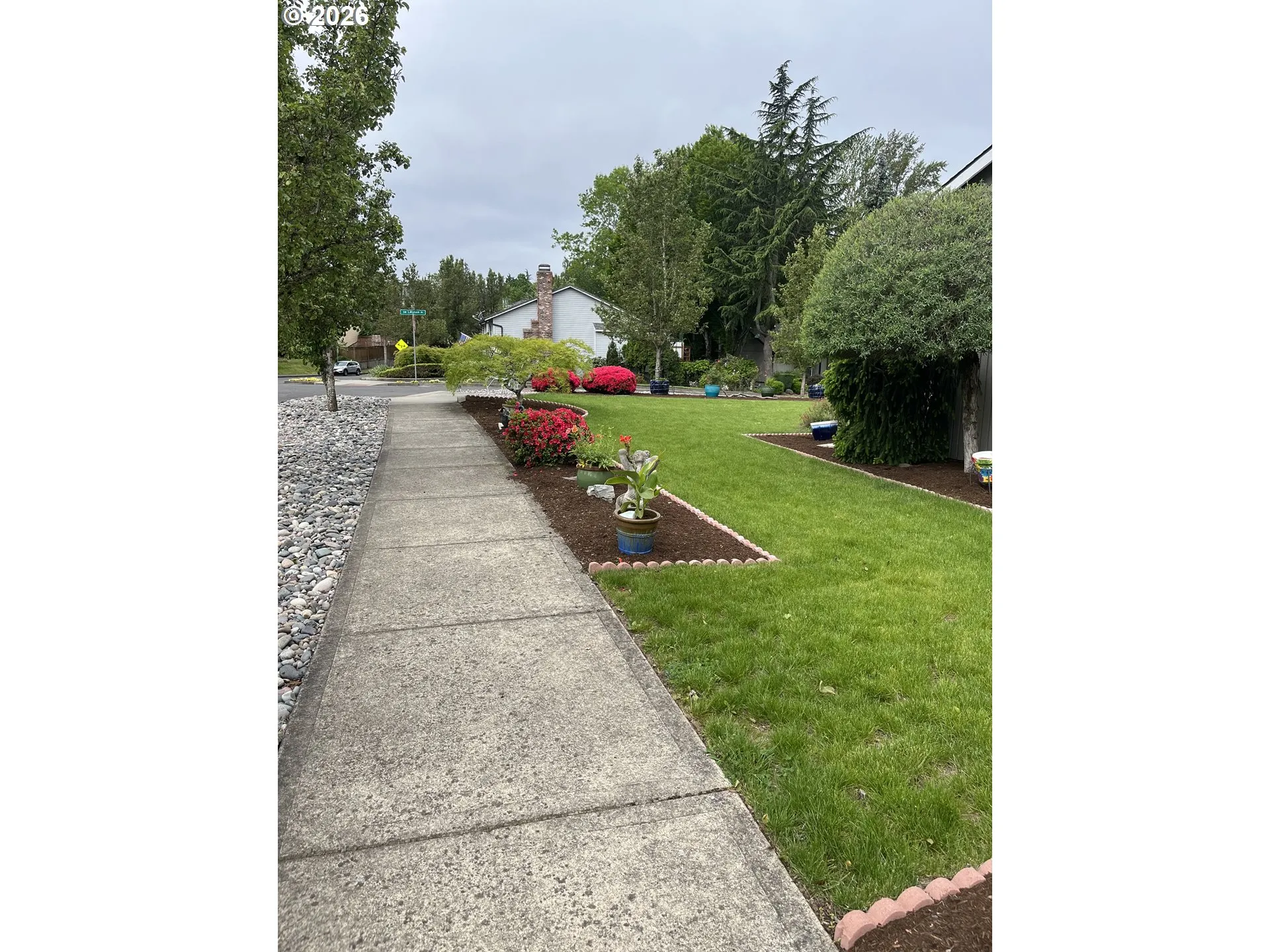 Front Yard