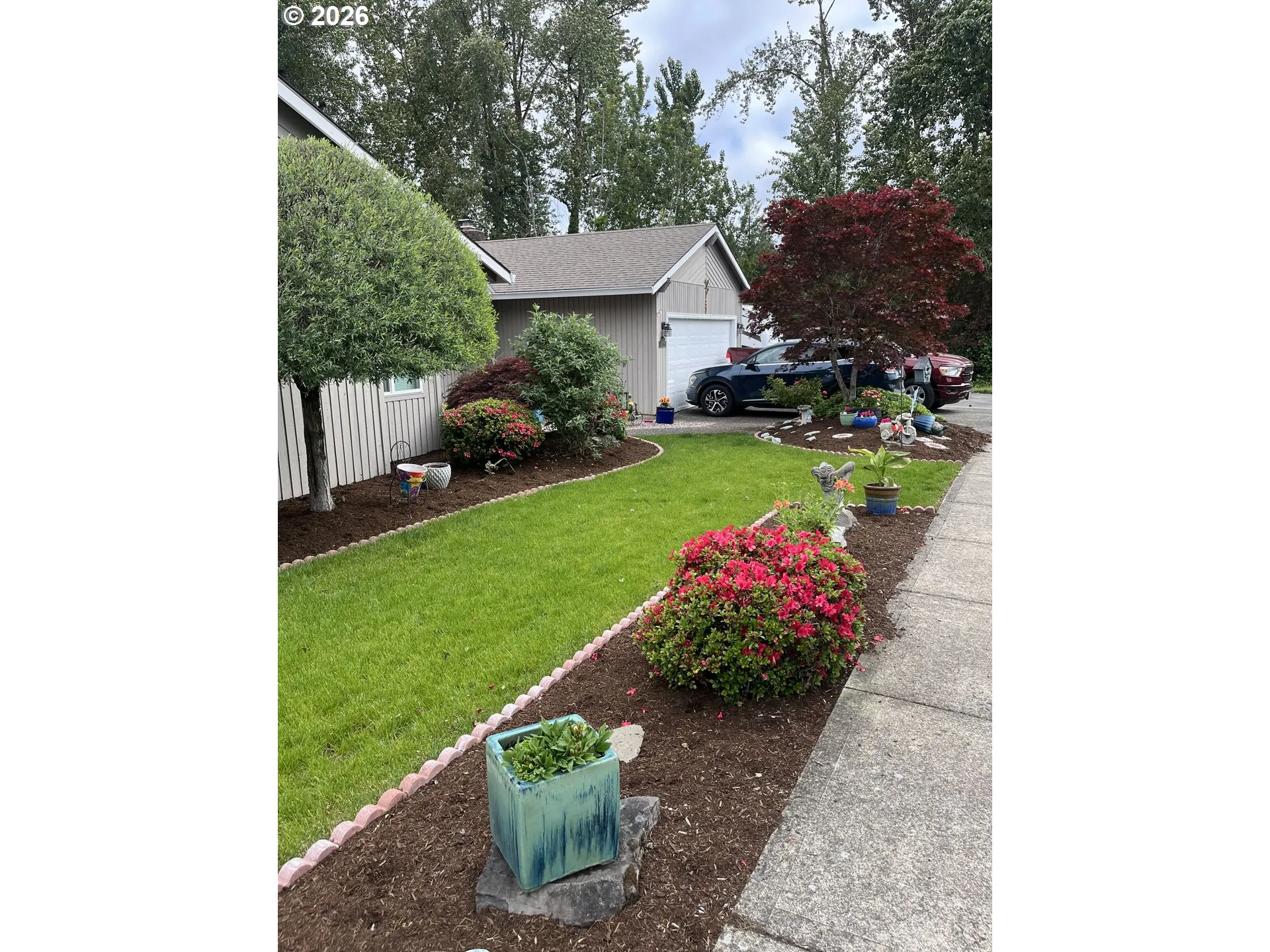 Front Yard