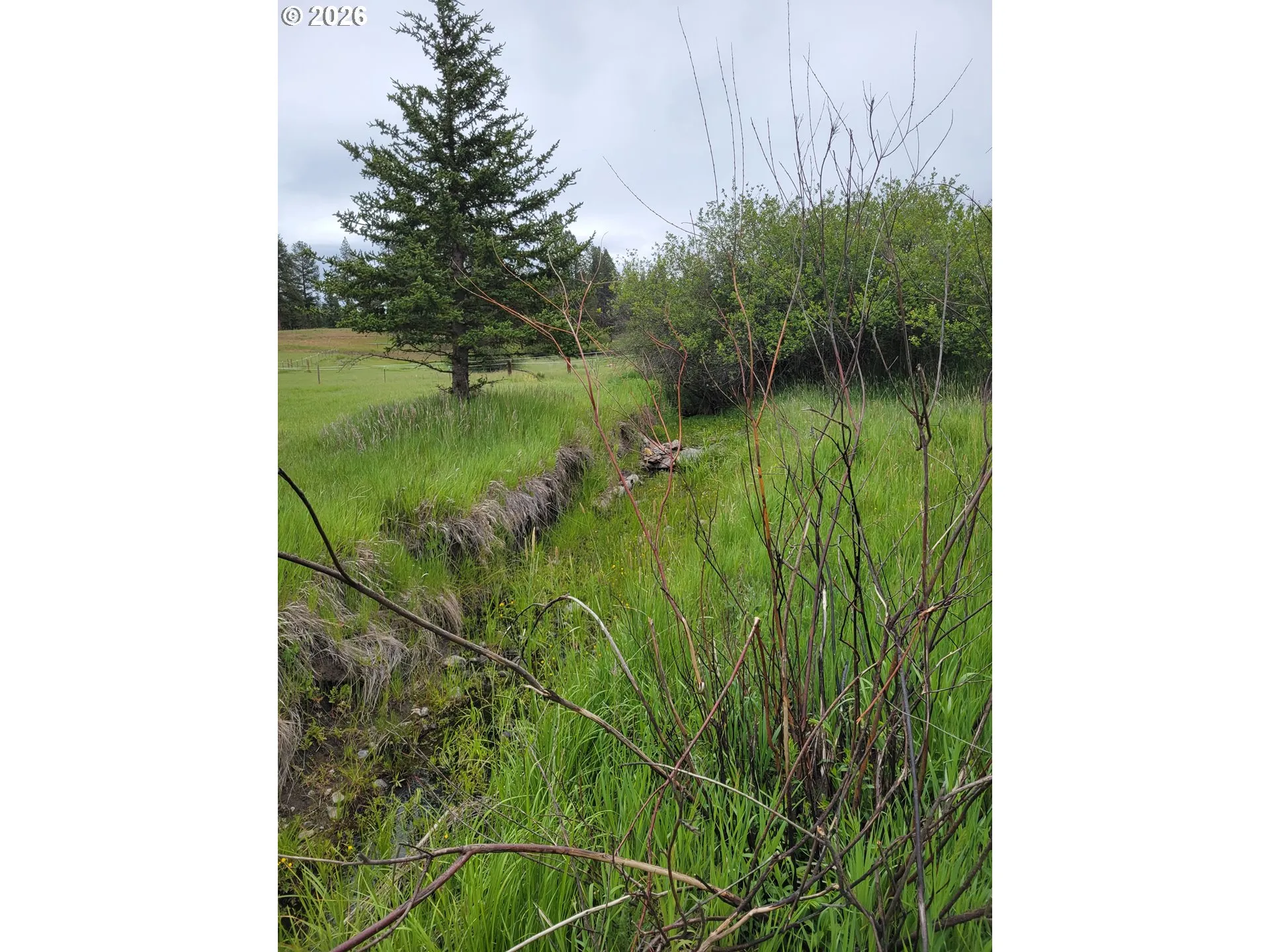 Creek-9 month