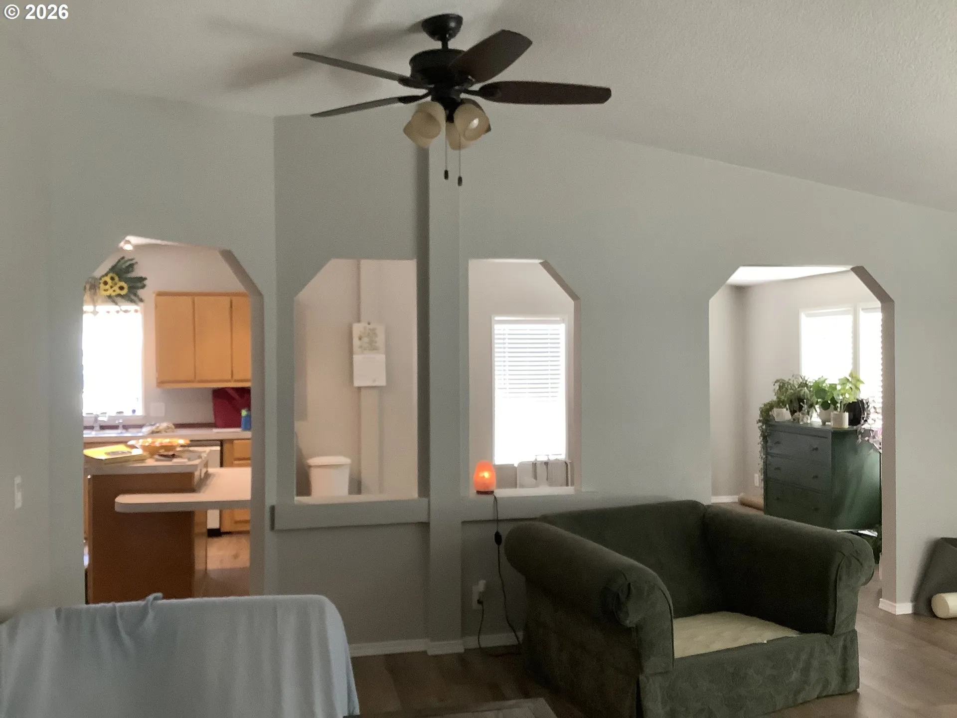 Living Room-Ceiling Fan
