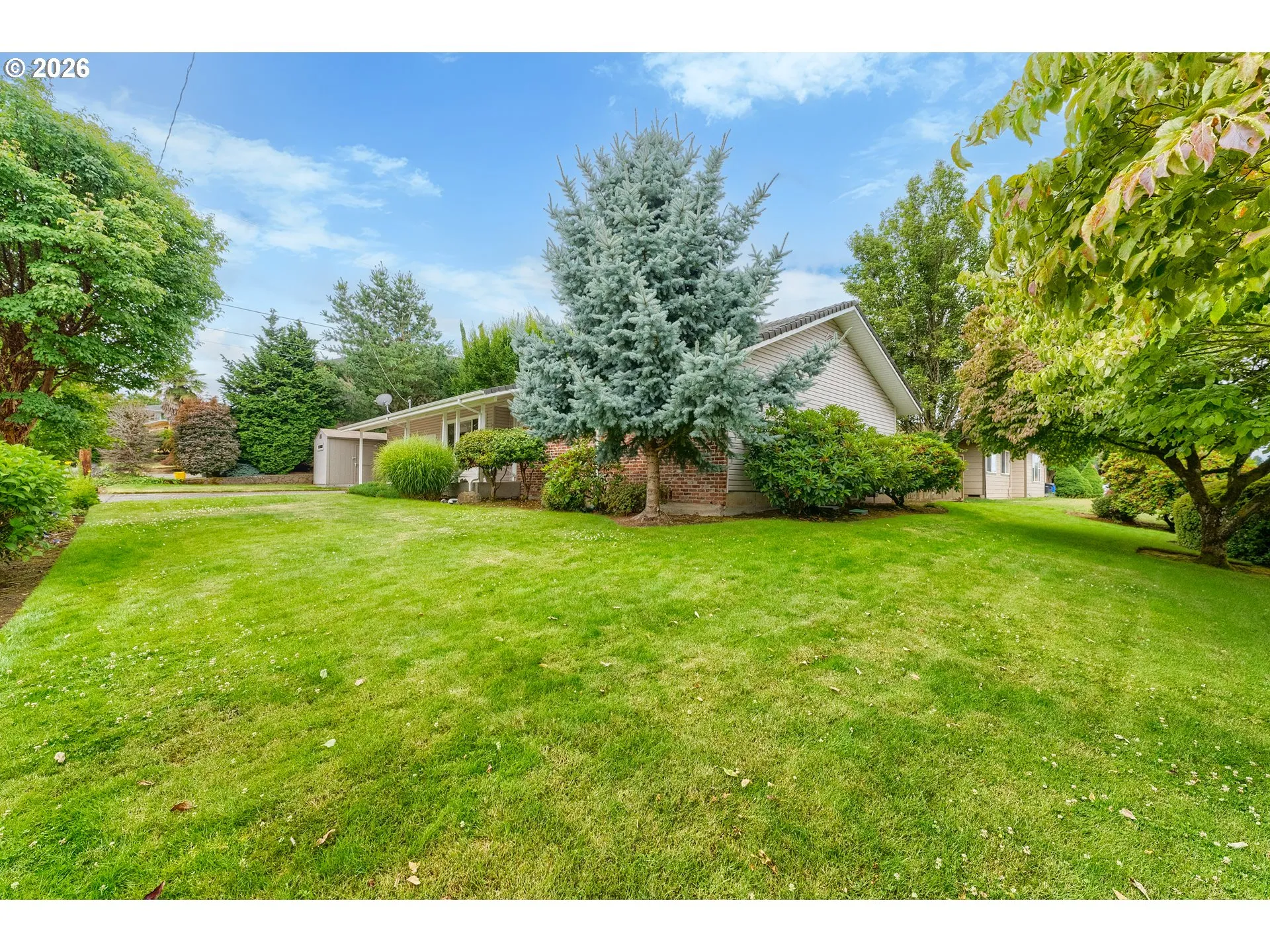 Front Yard