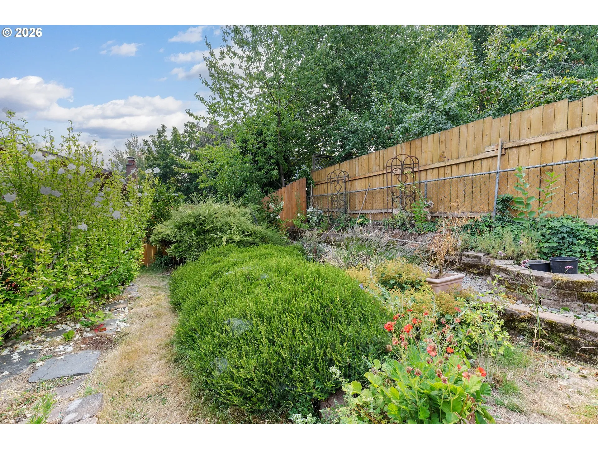 Backyard-Fenced