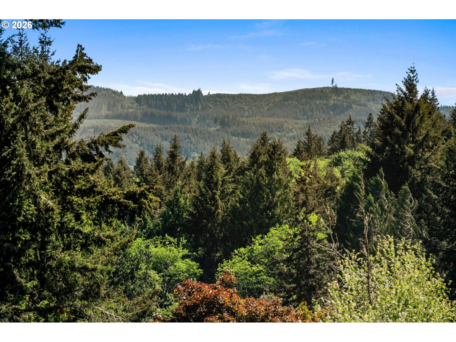 View-Trees