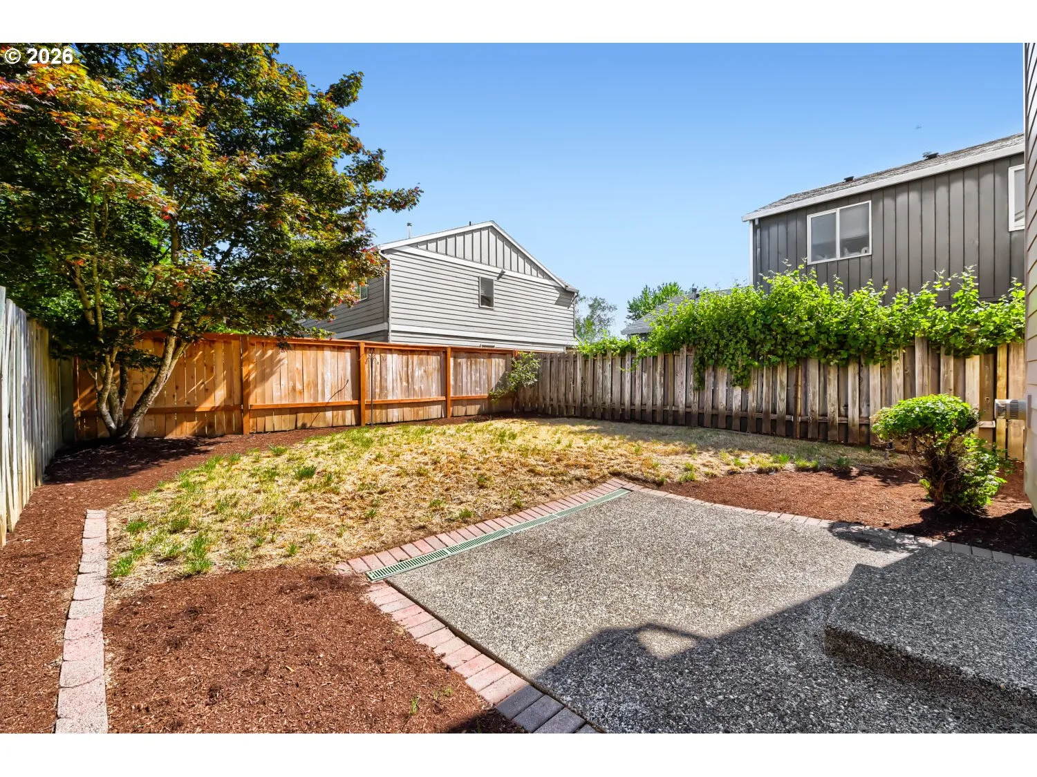 Patio-Backyard