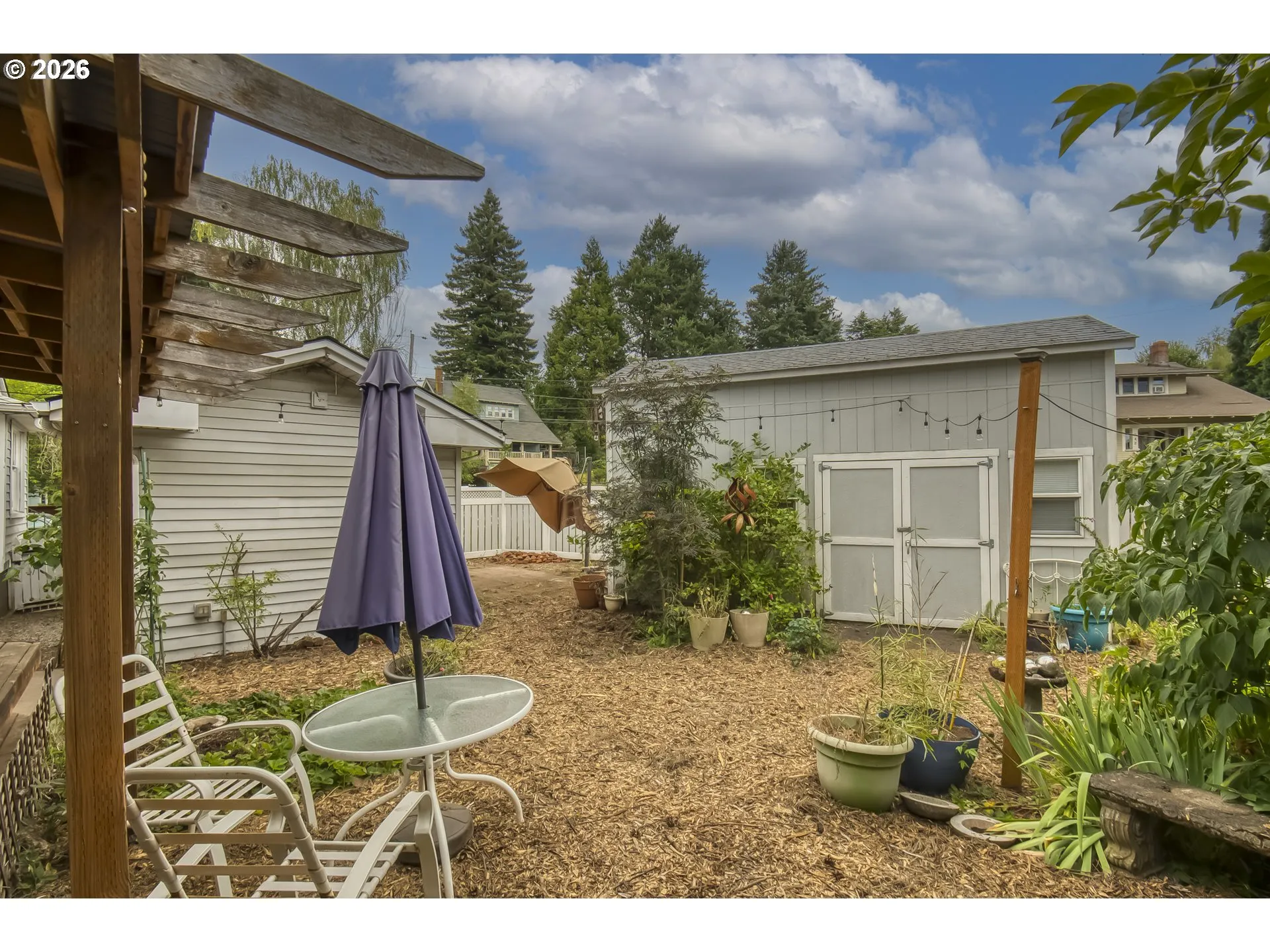 Backyard