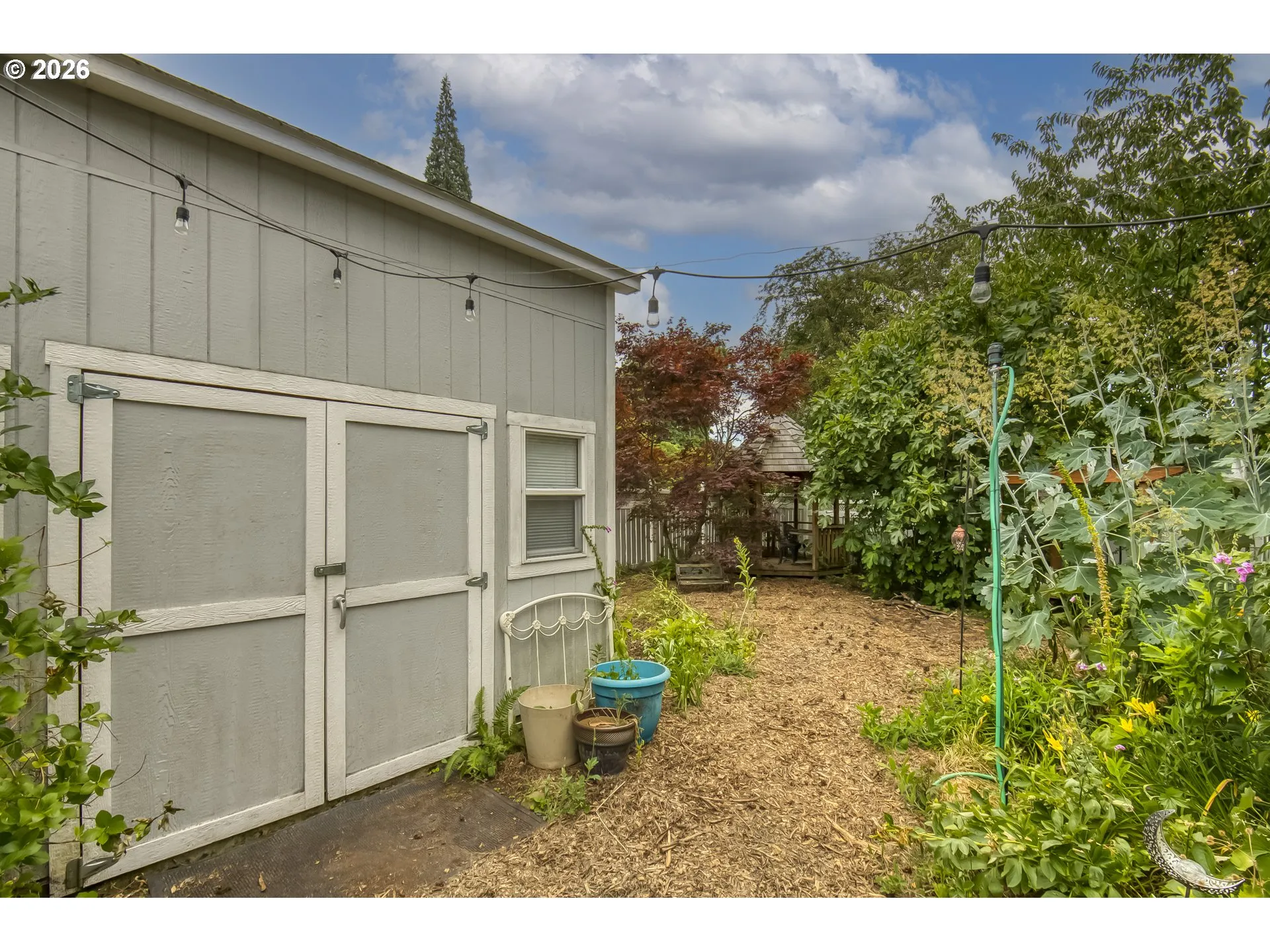 Backyard
