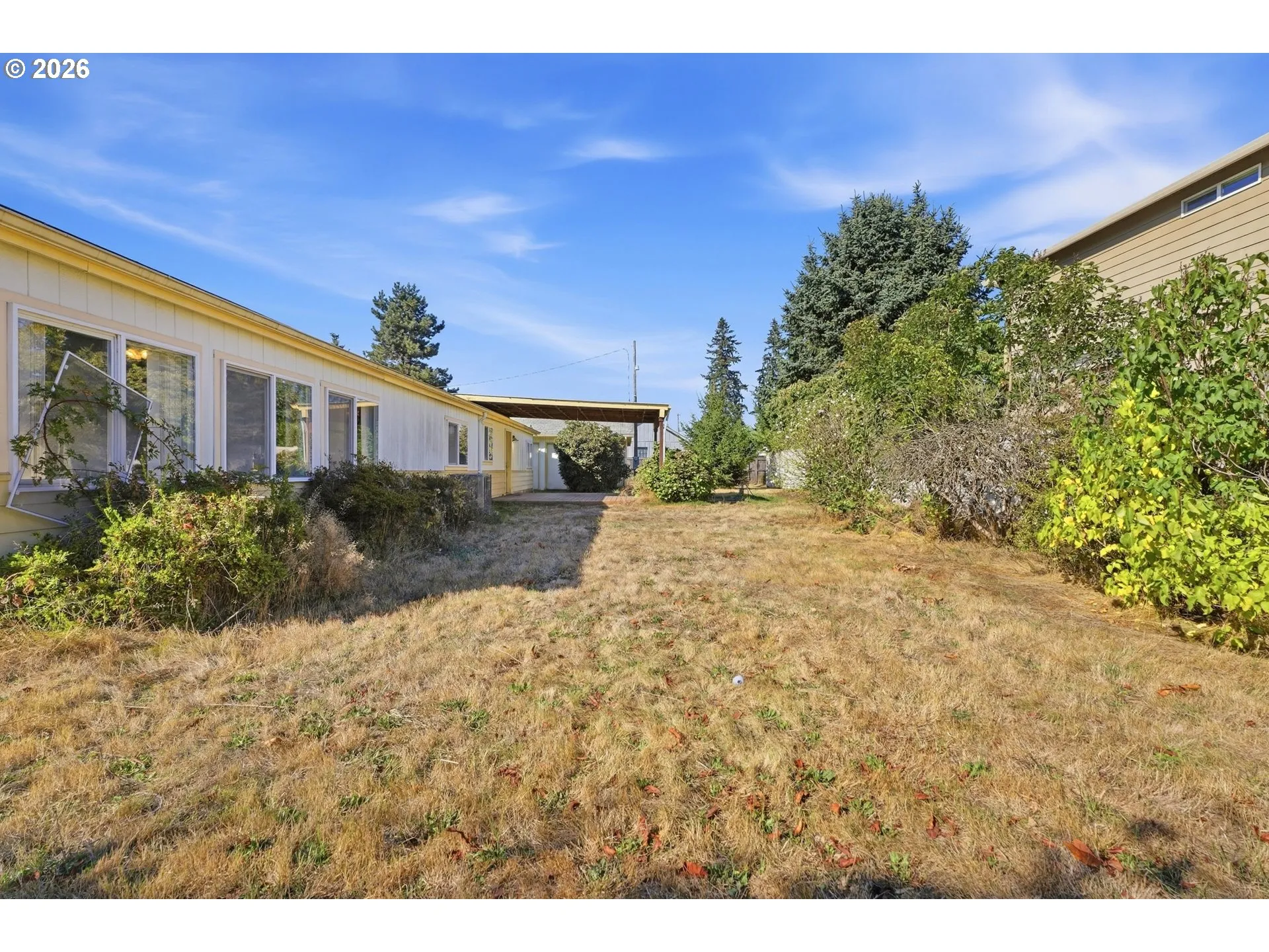 Backyard-Fenced