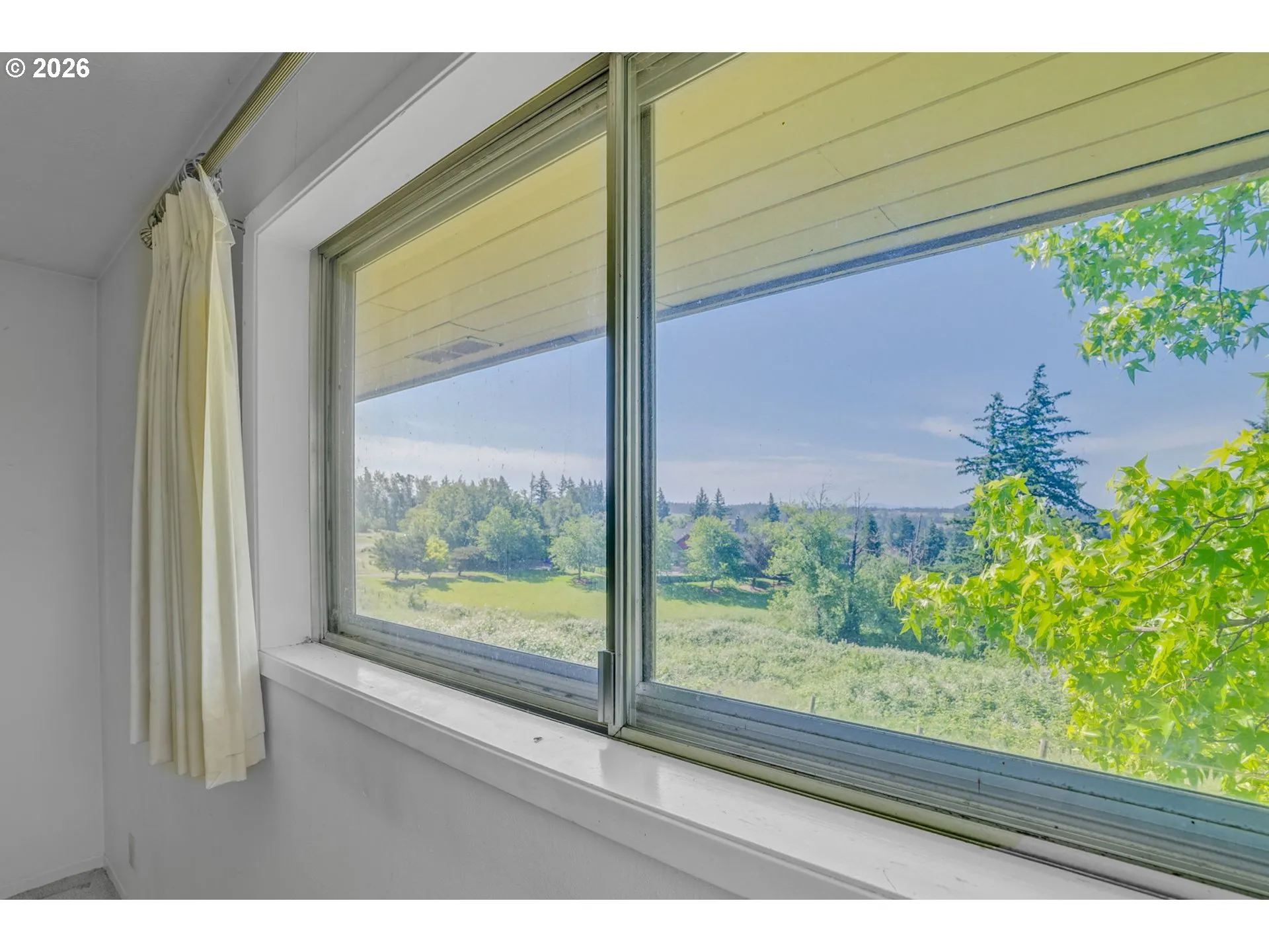 Primary Bedroom-View From