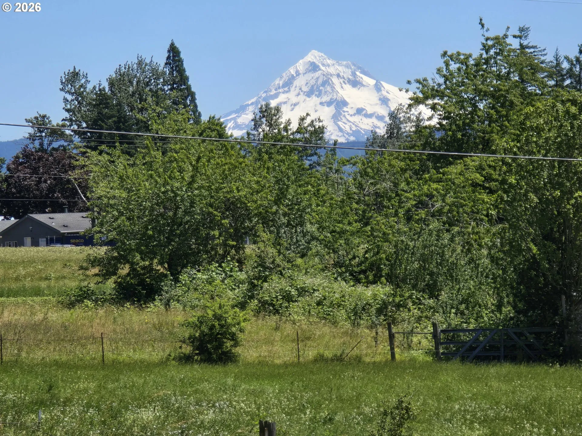 Front Yard-View From