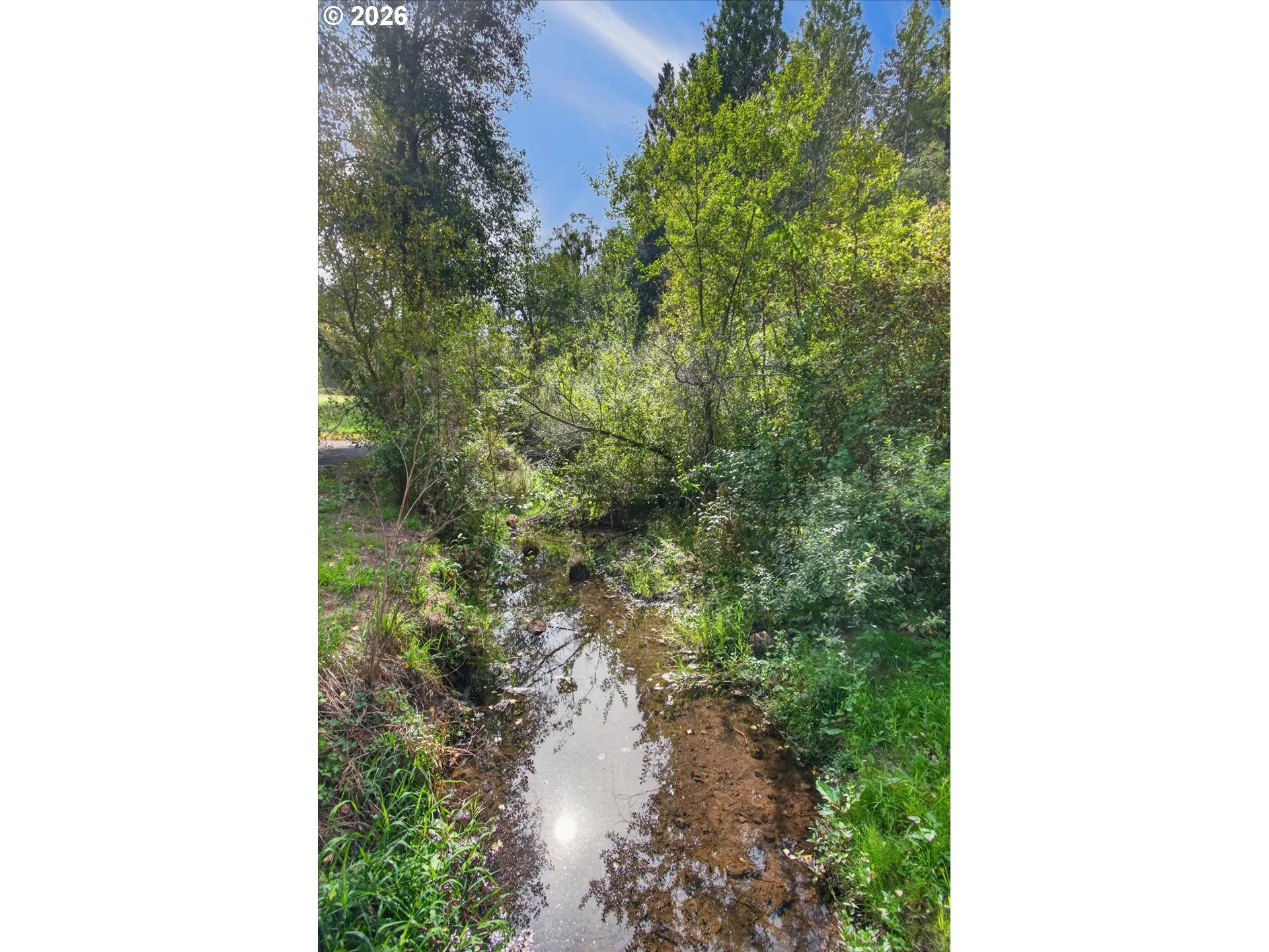 Creek