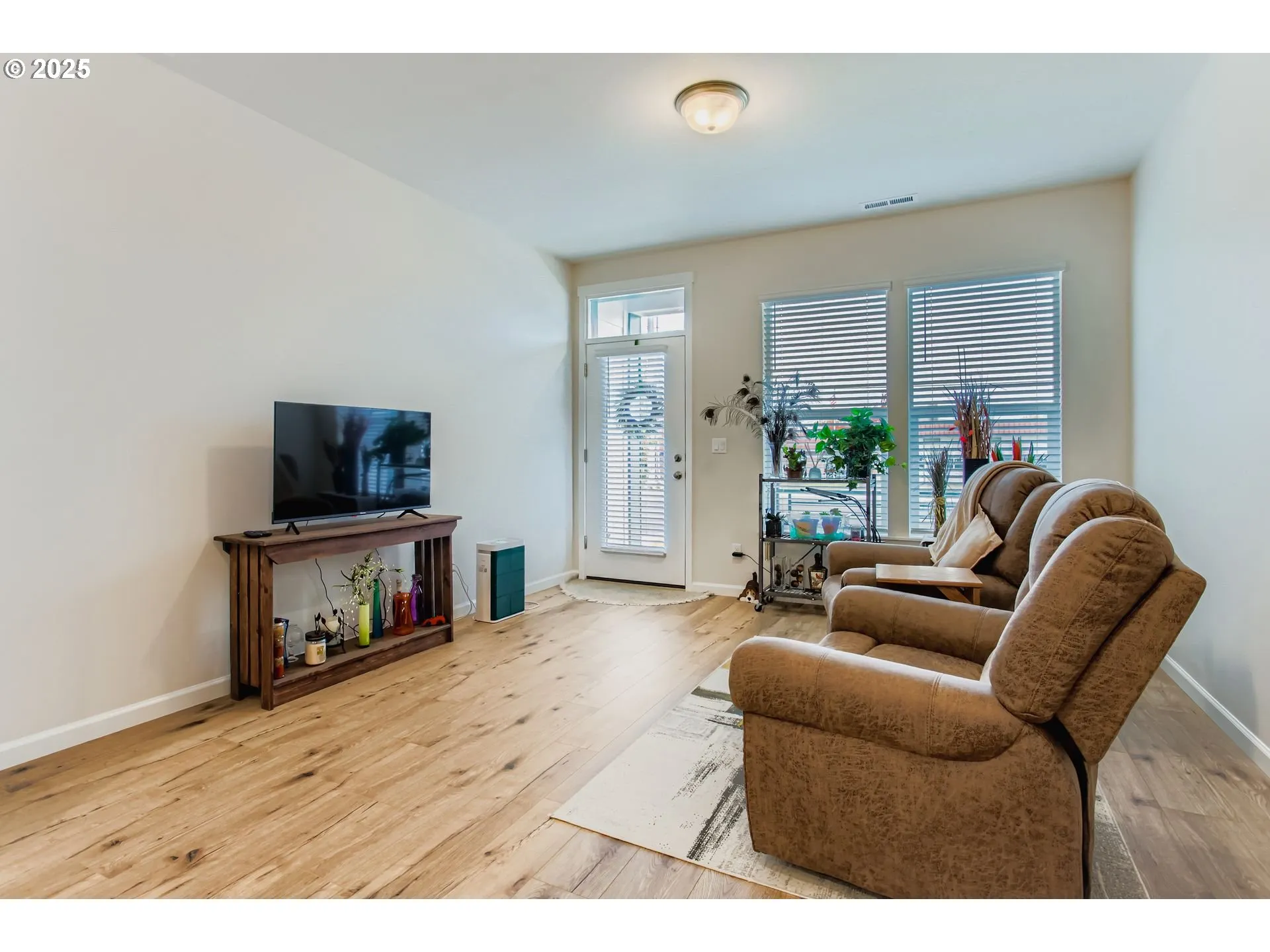 Living Room/Entrance