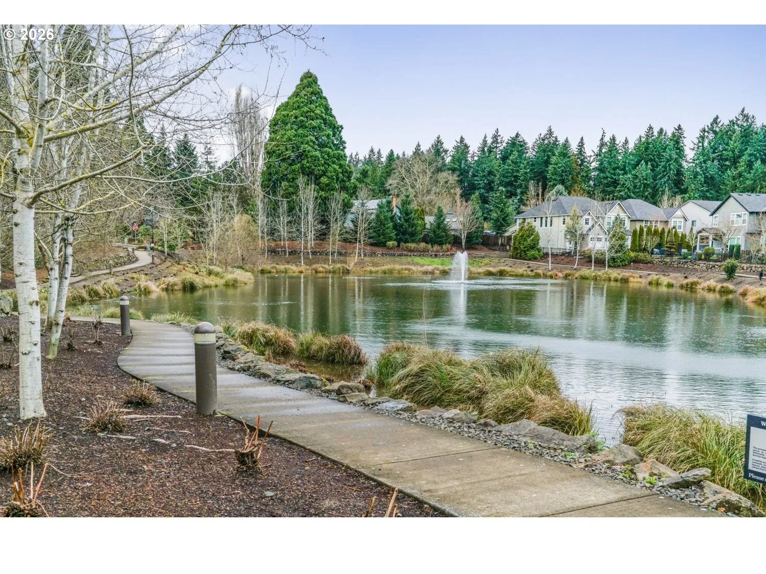 Pond