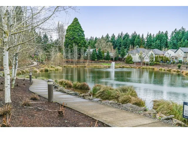 Pond