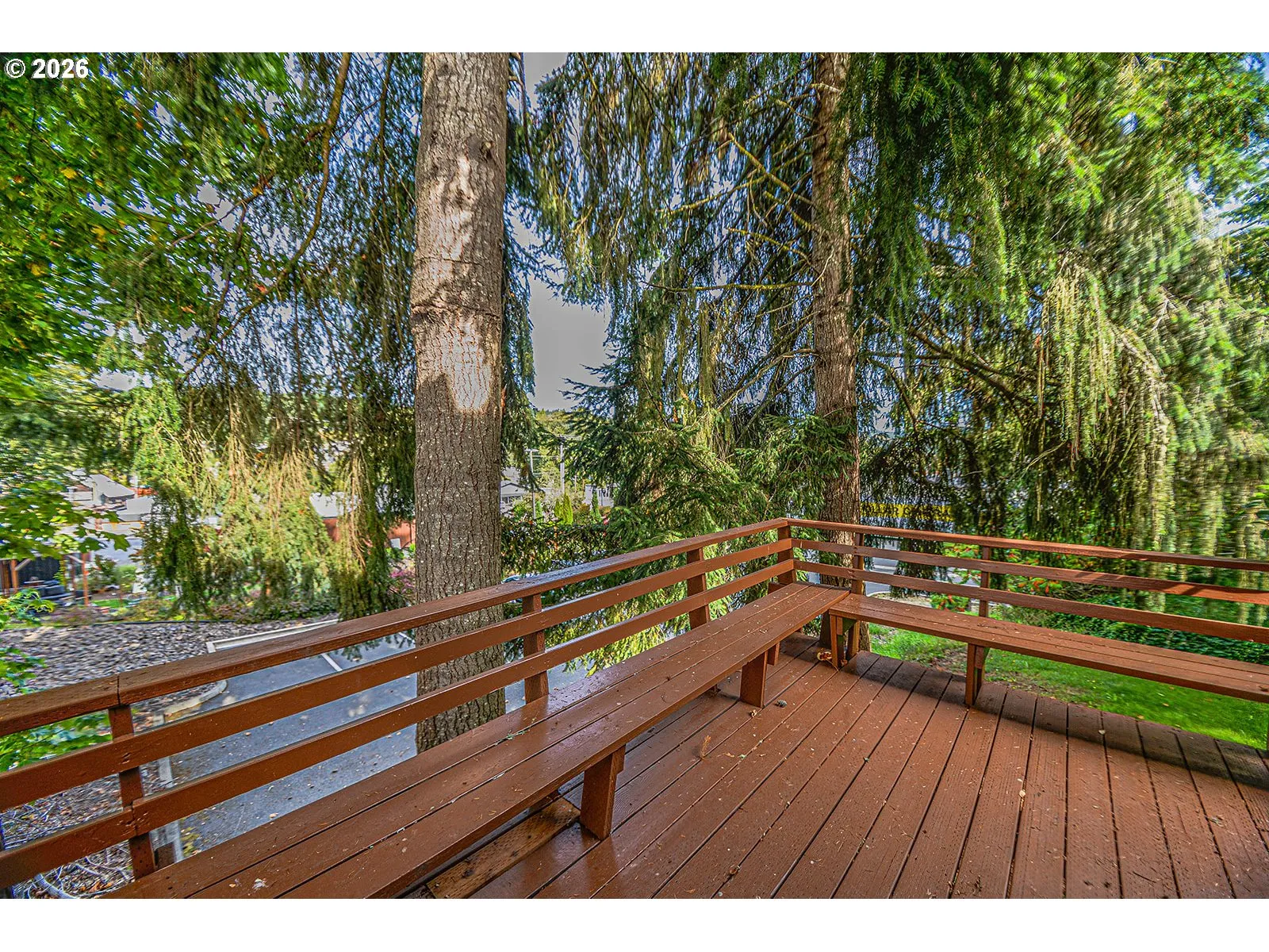 Deck-Lower
