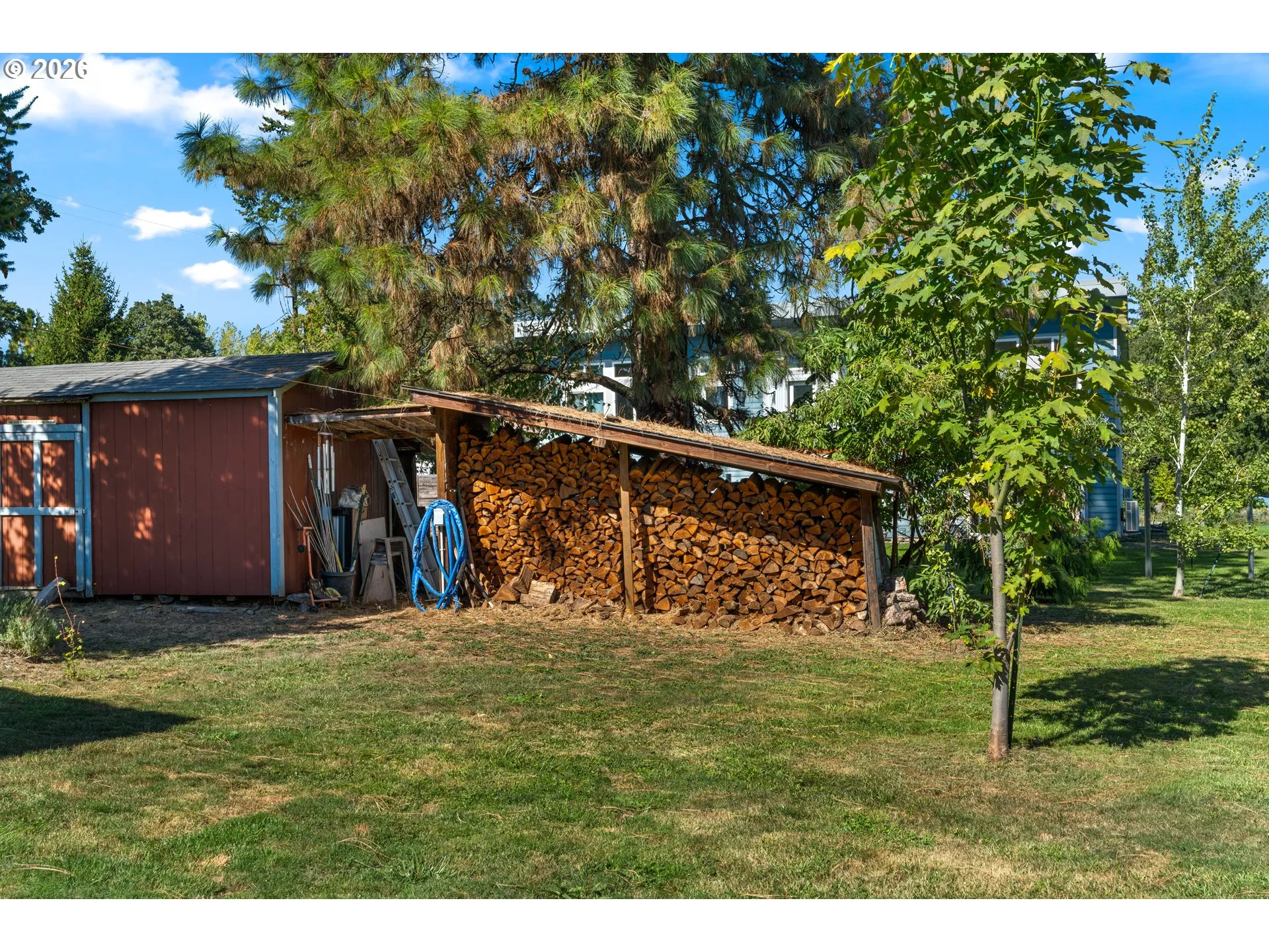 Shed