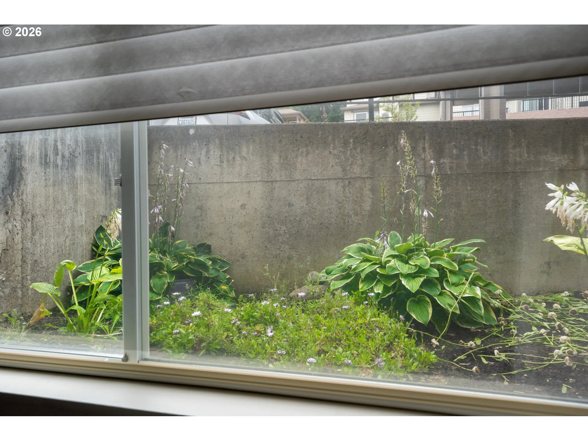Bedroom-View From