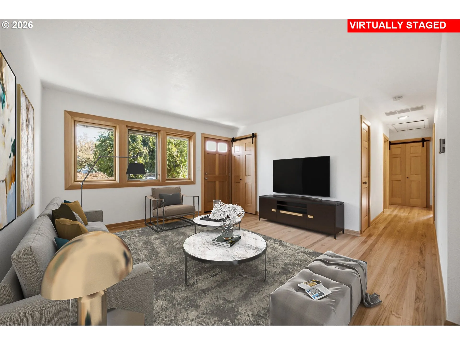 Living Room/Entrance