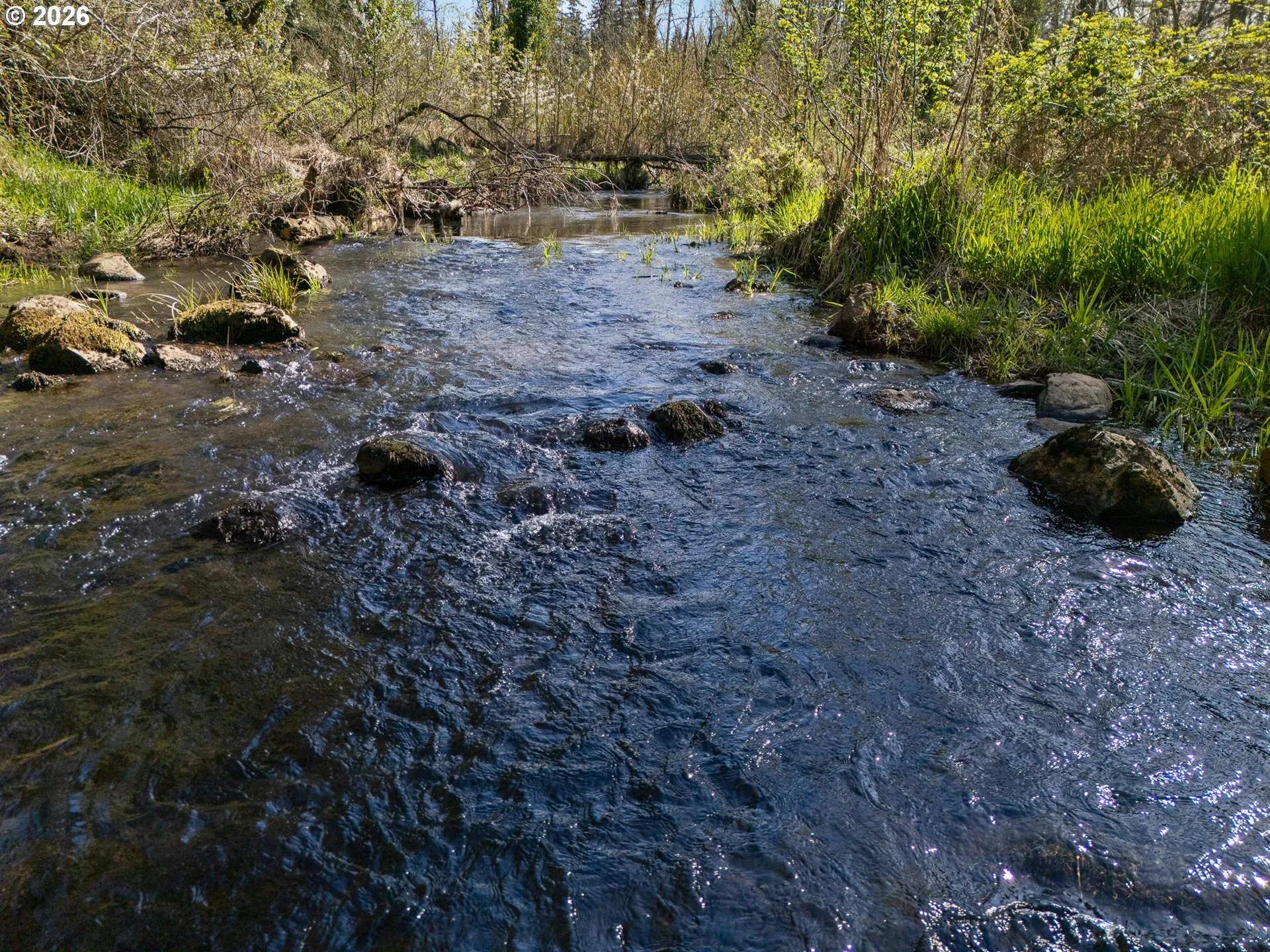 Creek