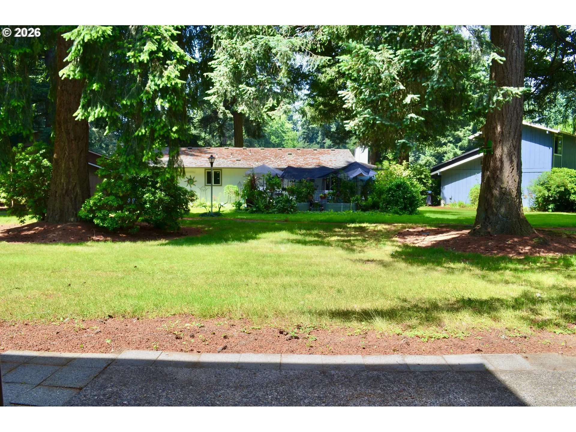 Patio-Backyard