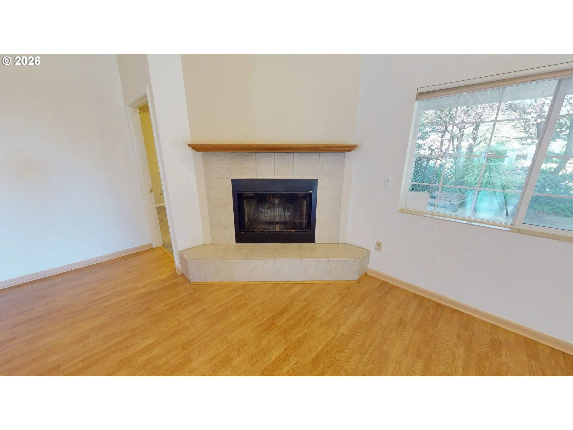 Living Room-Fireplace