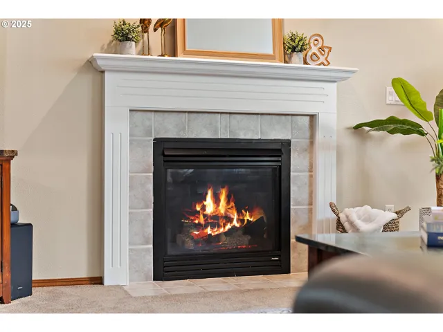 Living Room-Fireplace