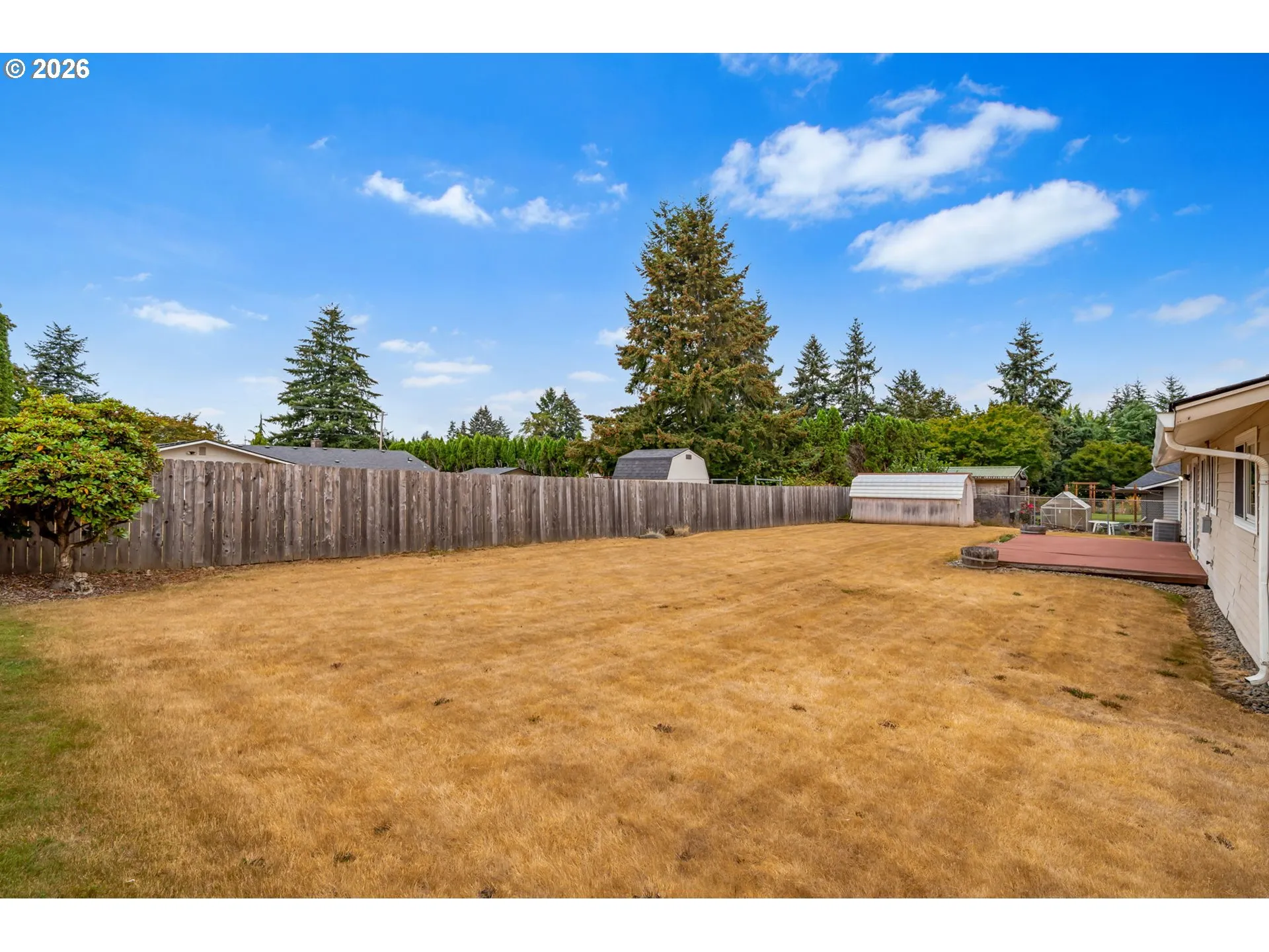 Backyard