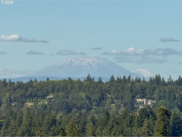 View-Mountain