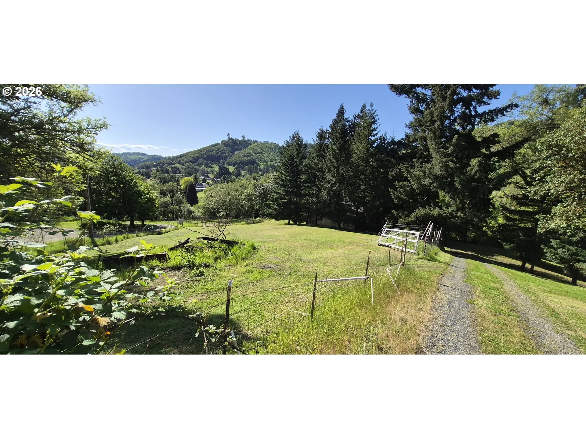 Pasture