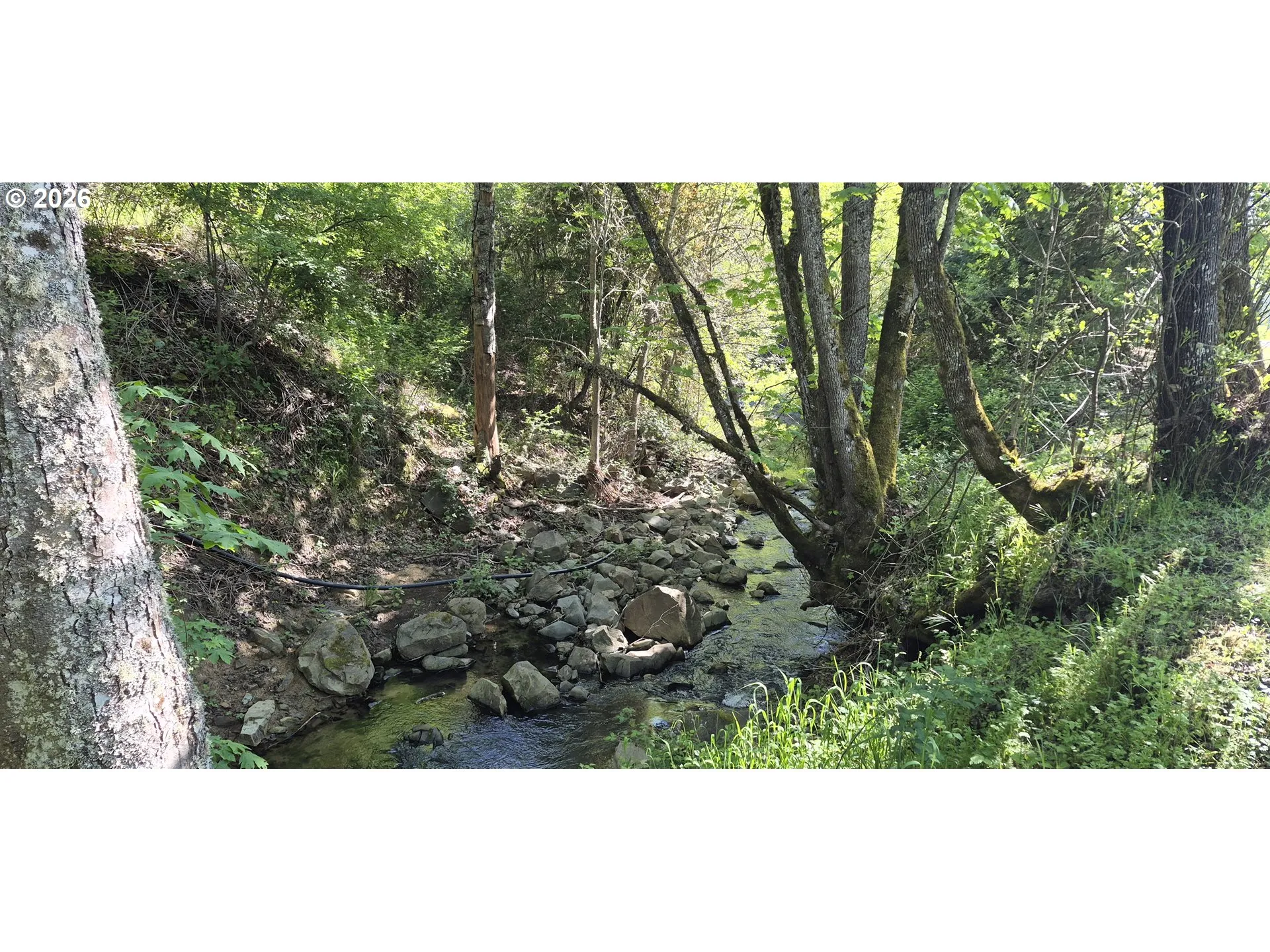 Creek