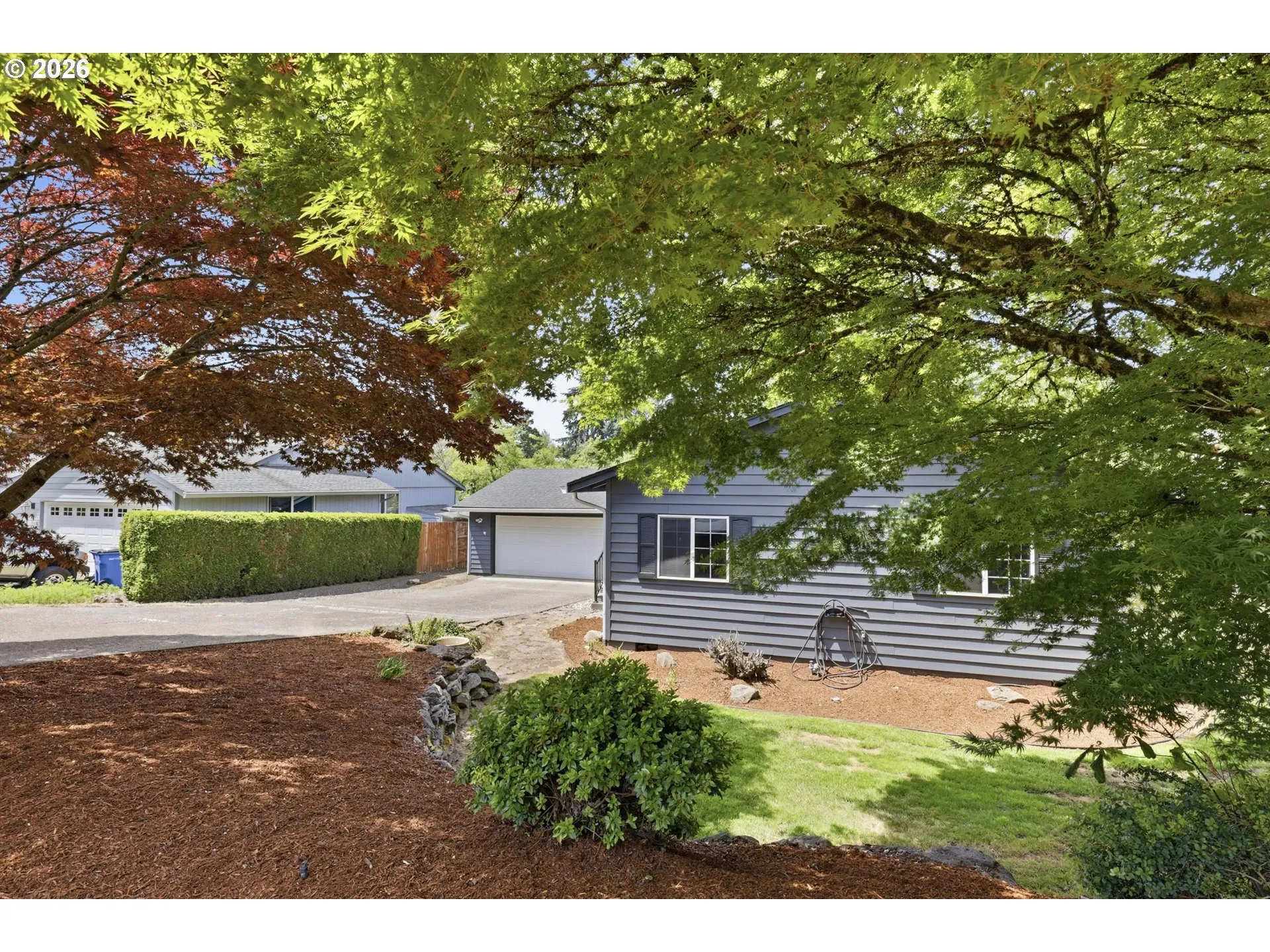 Front Yard