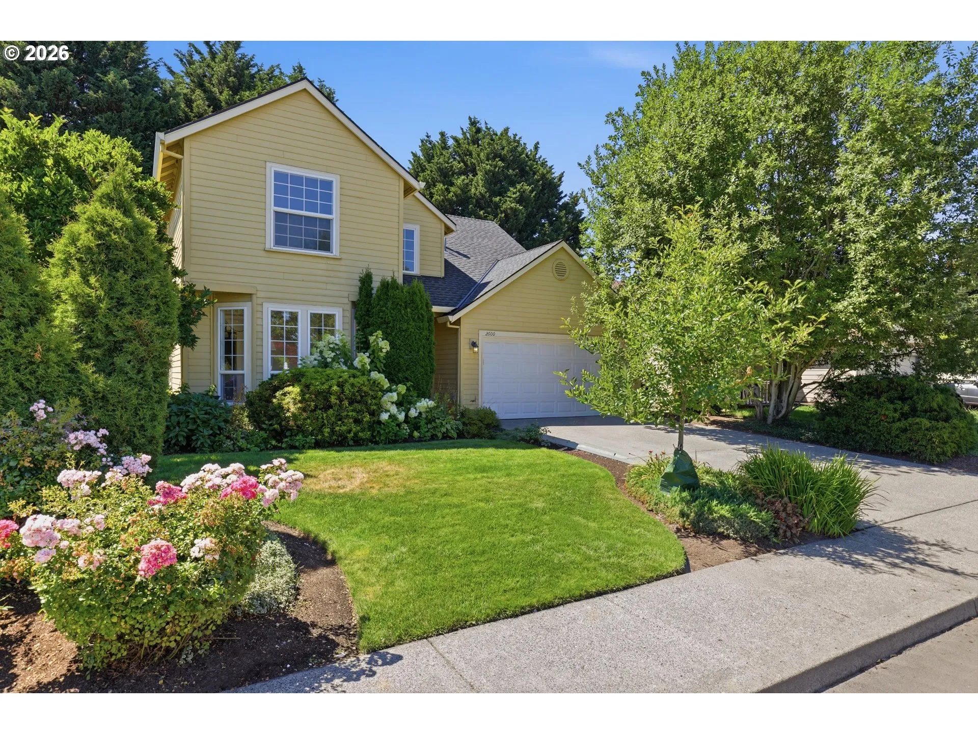 Front Yard