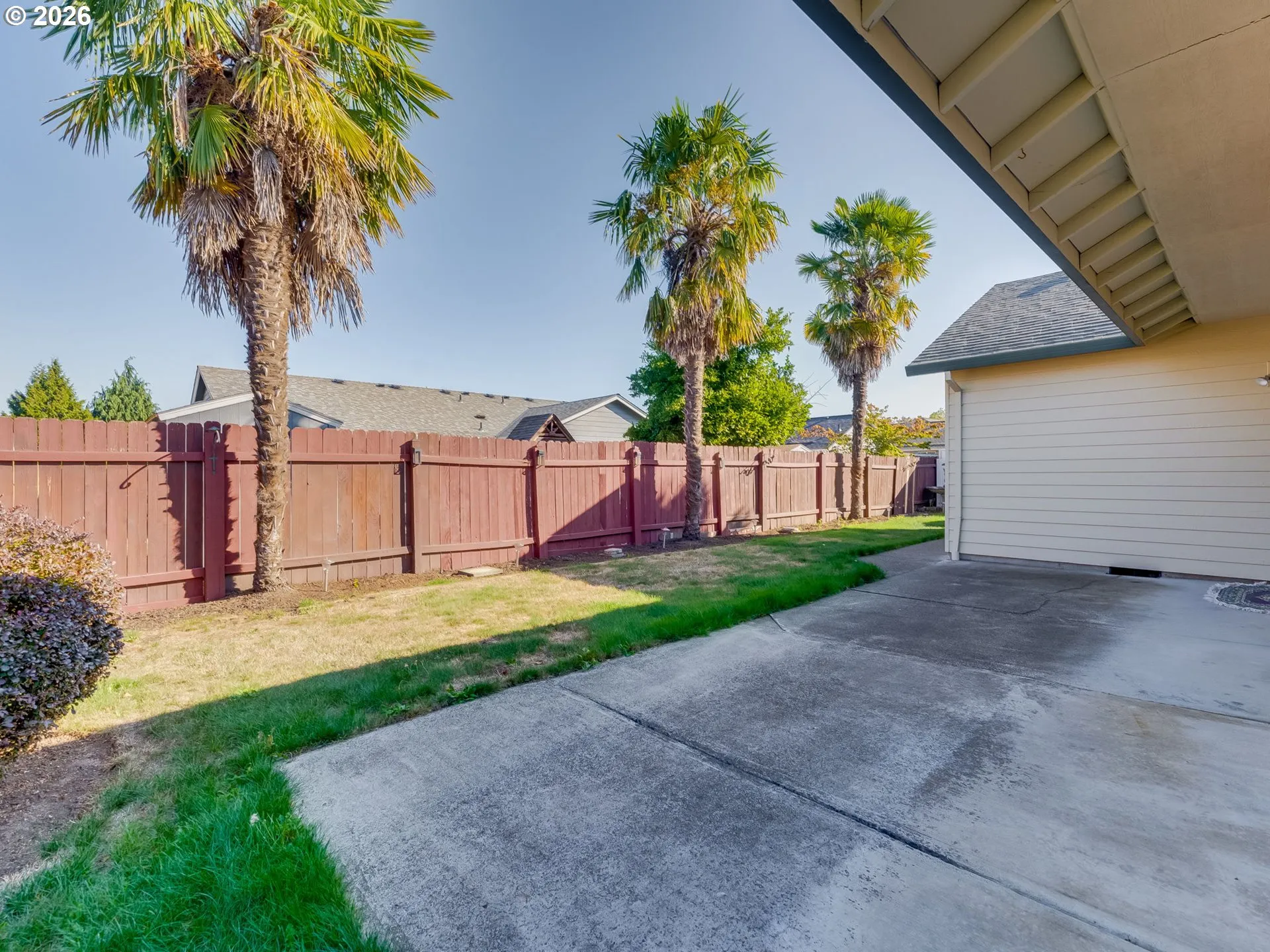 Patio-Backyard