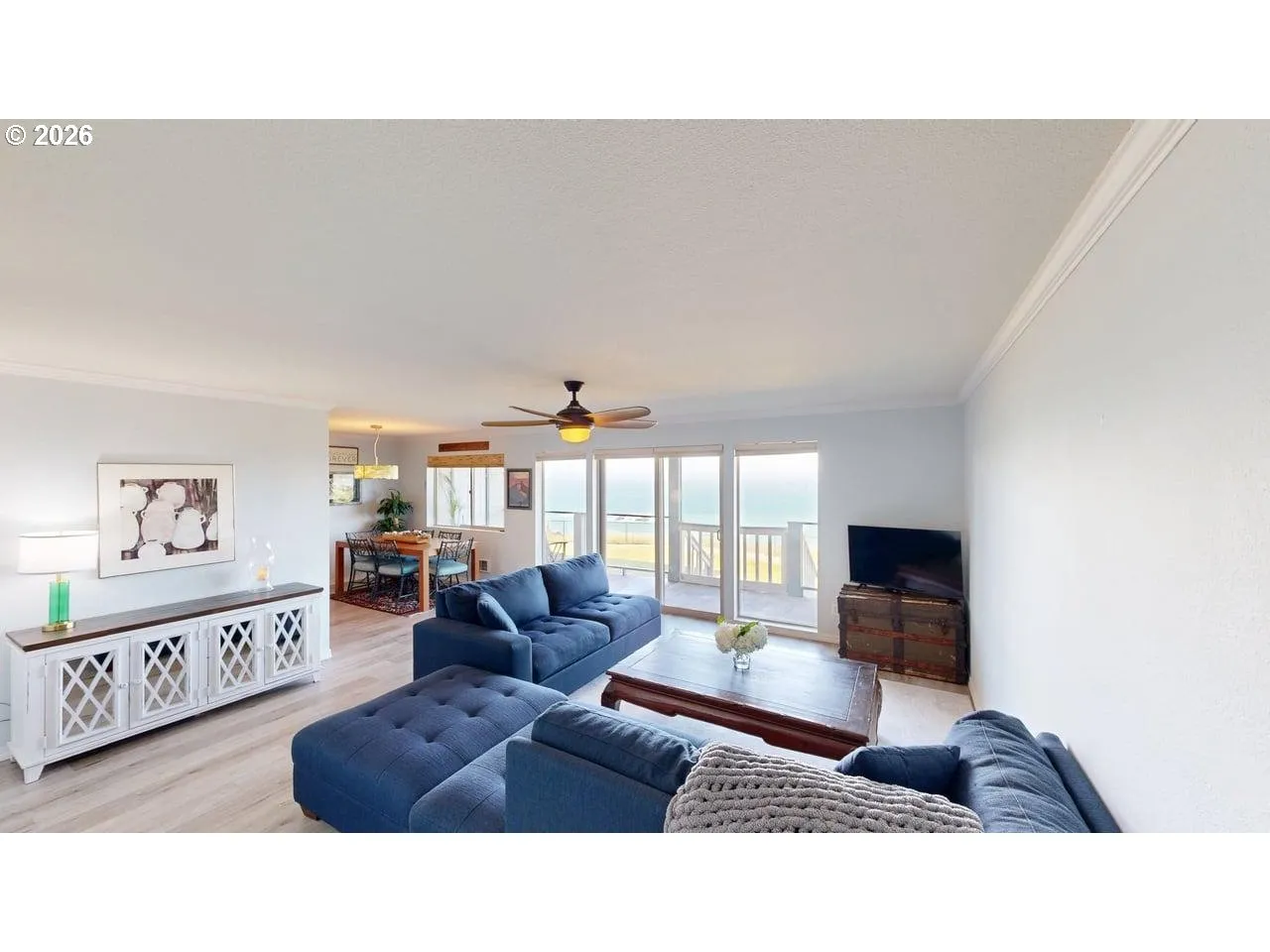 Living Room/Entrance