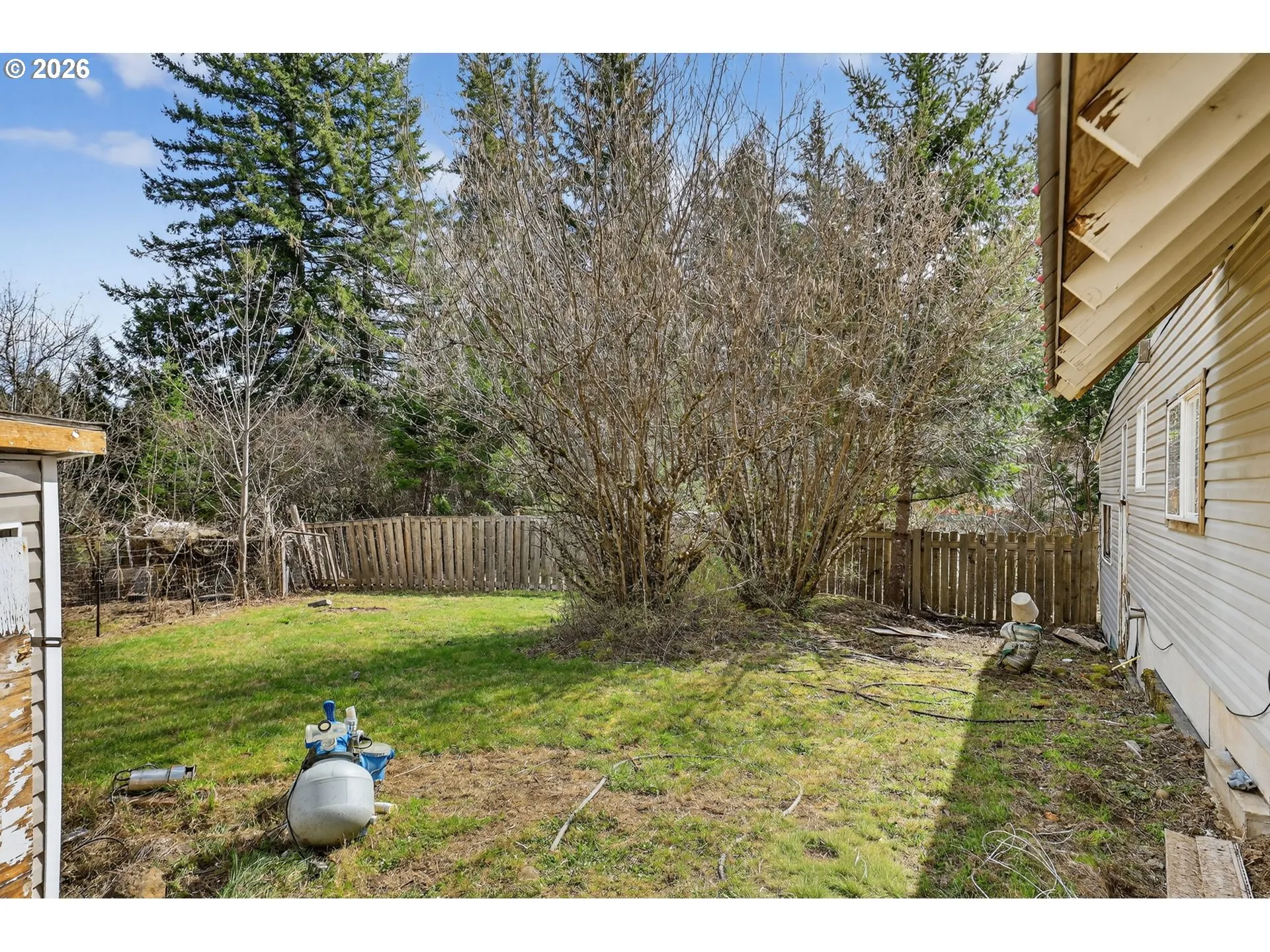 Backyard