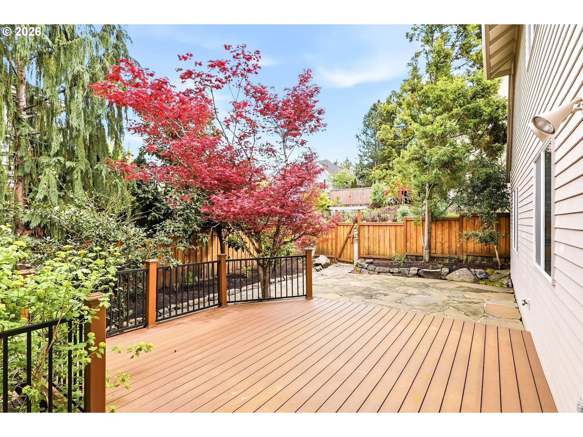 Backyard-Fenced
