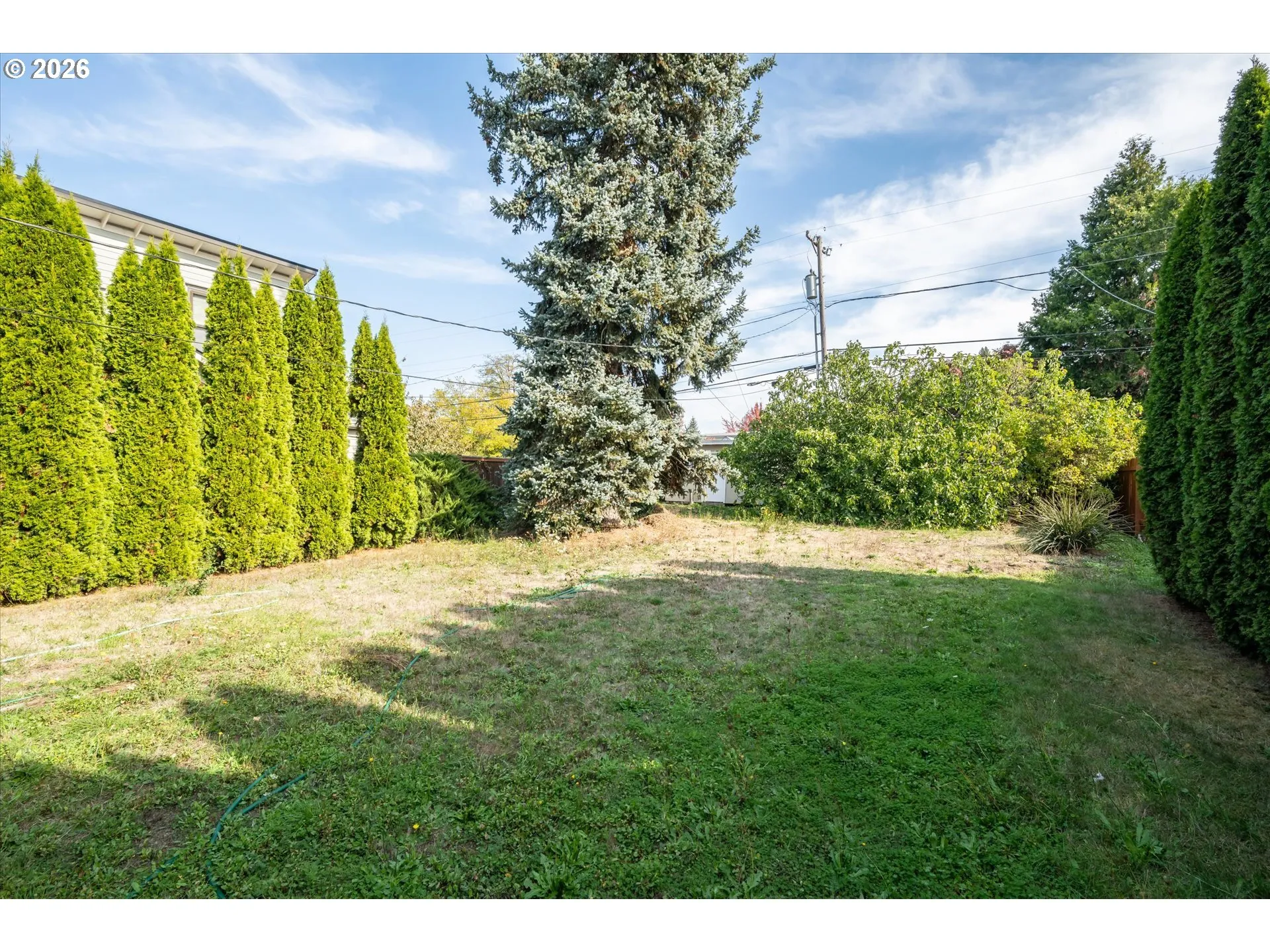 Backyard