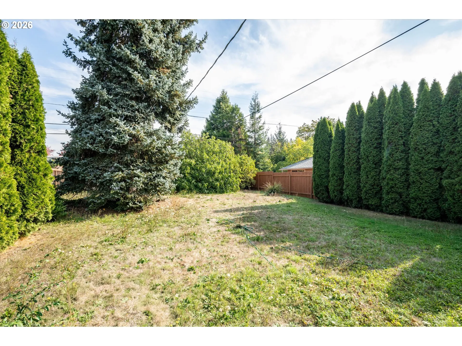 Backyard